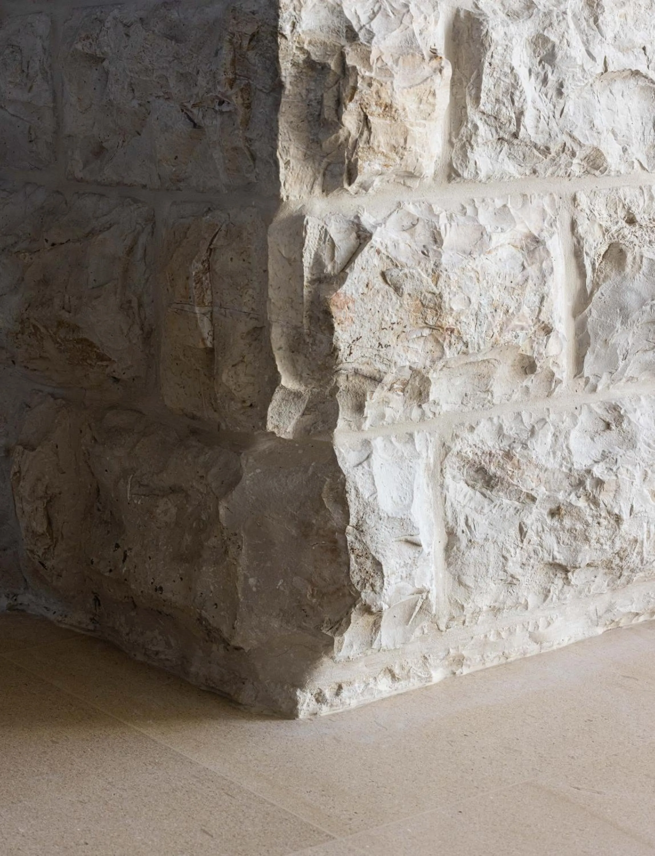 Property building in THE Y HOUSE