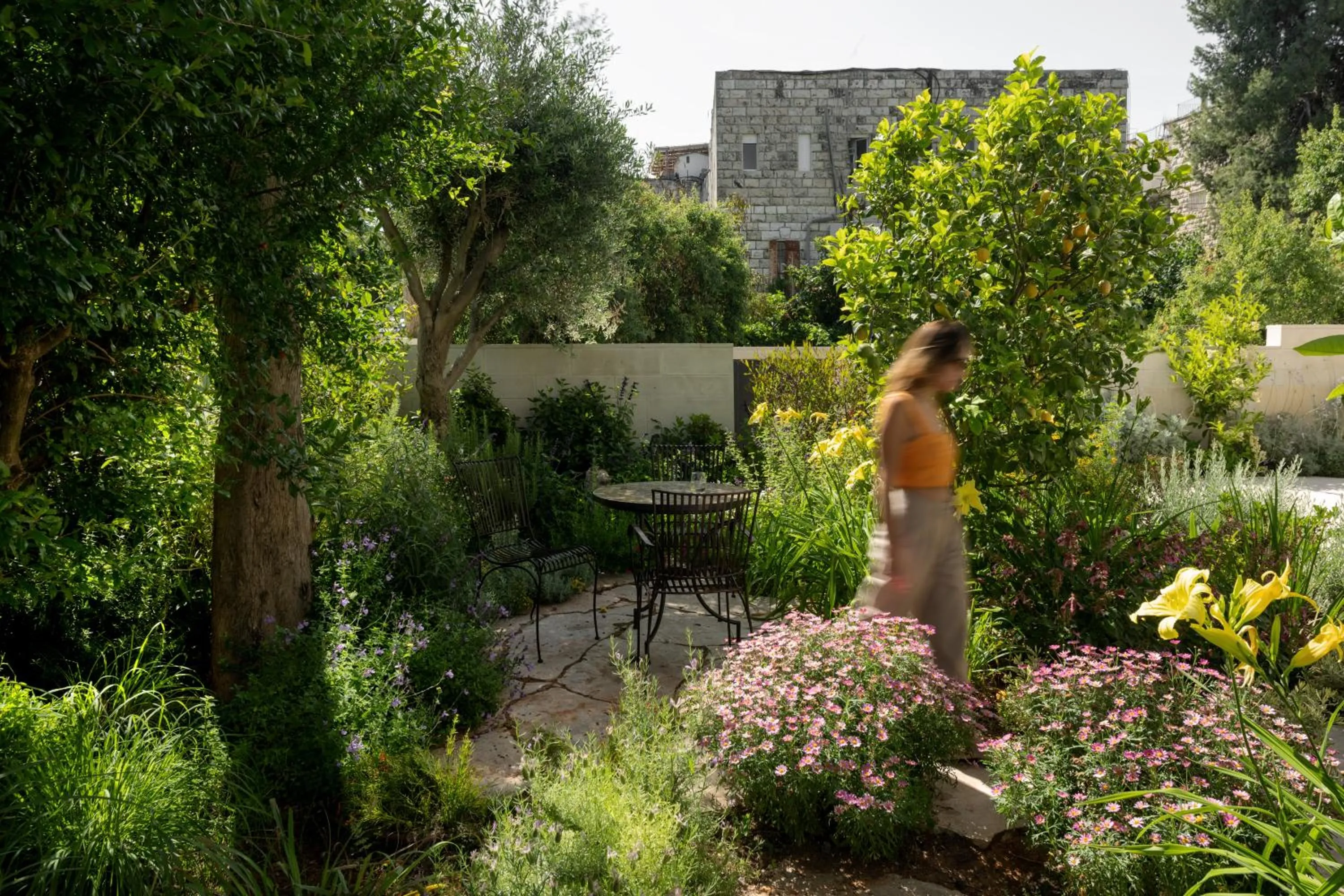 Garden in THE Y HOUSE