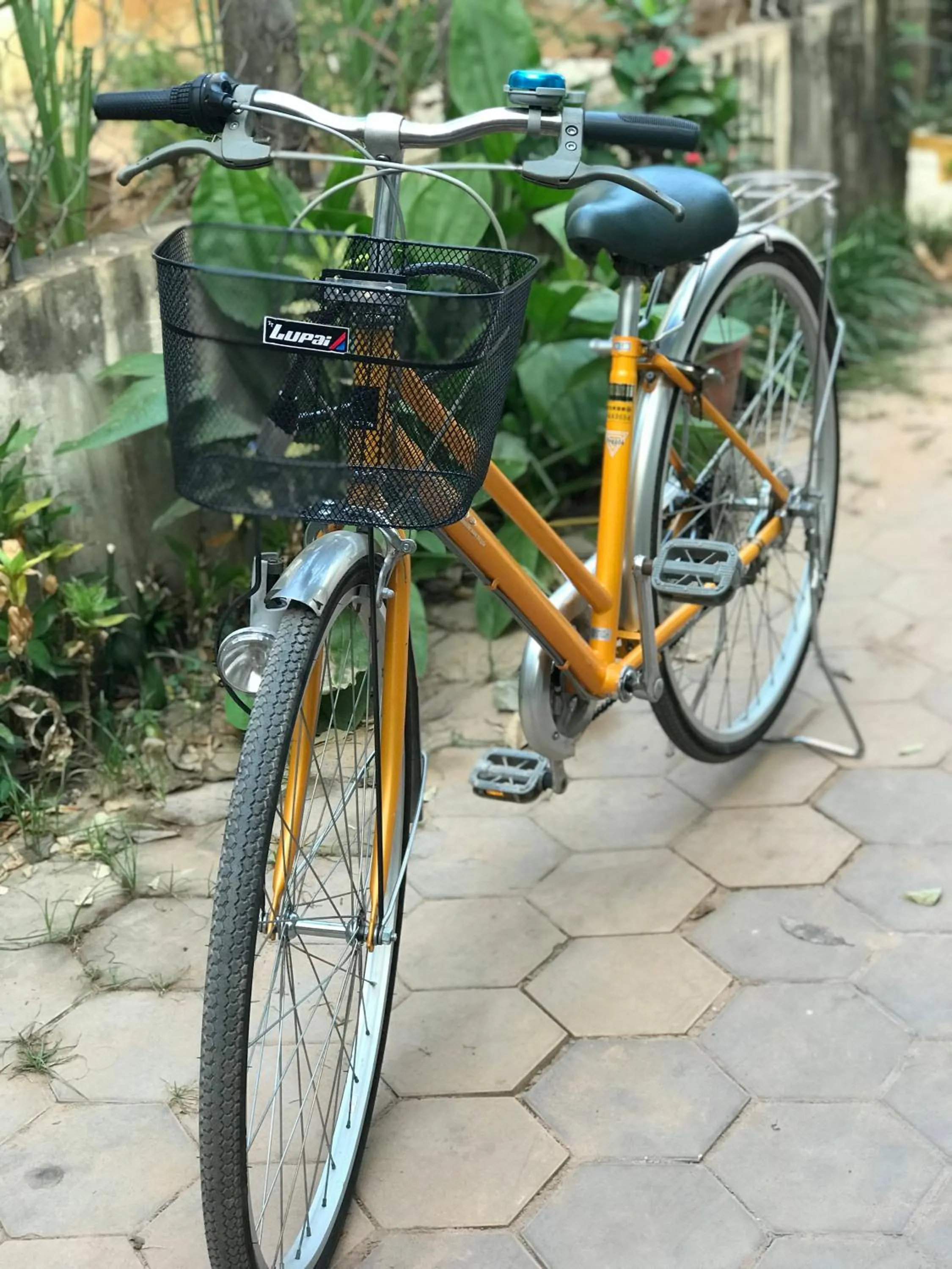 Cycling in Siem Reap Homesteading II