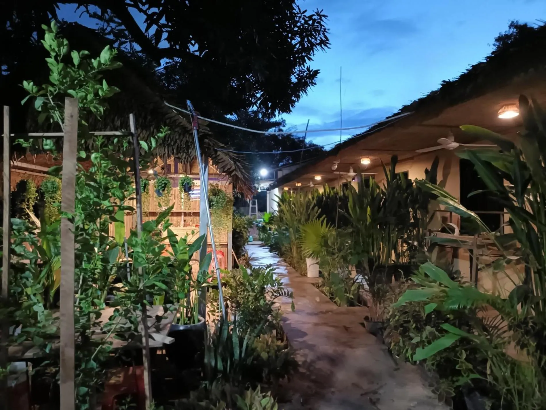 Night in Siem Reap Homesteading II