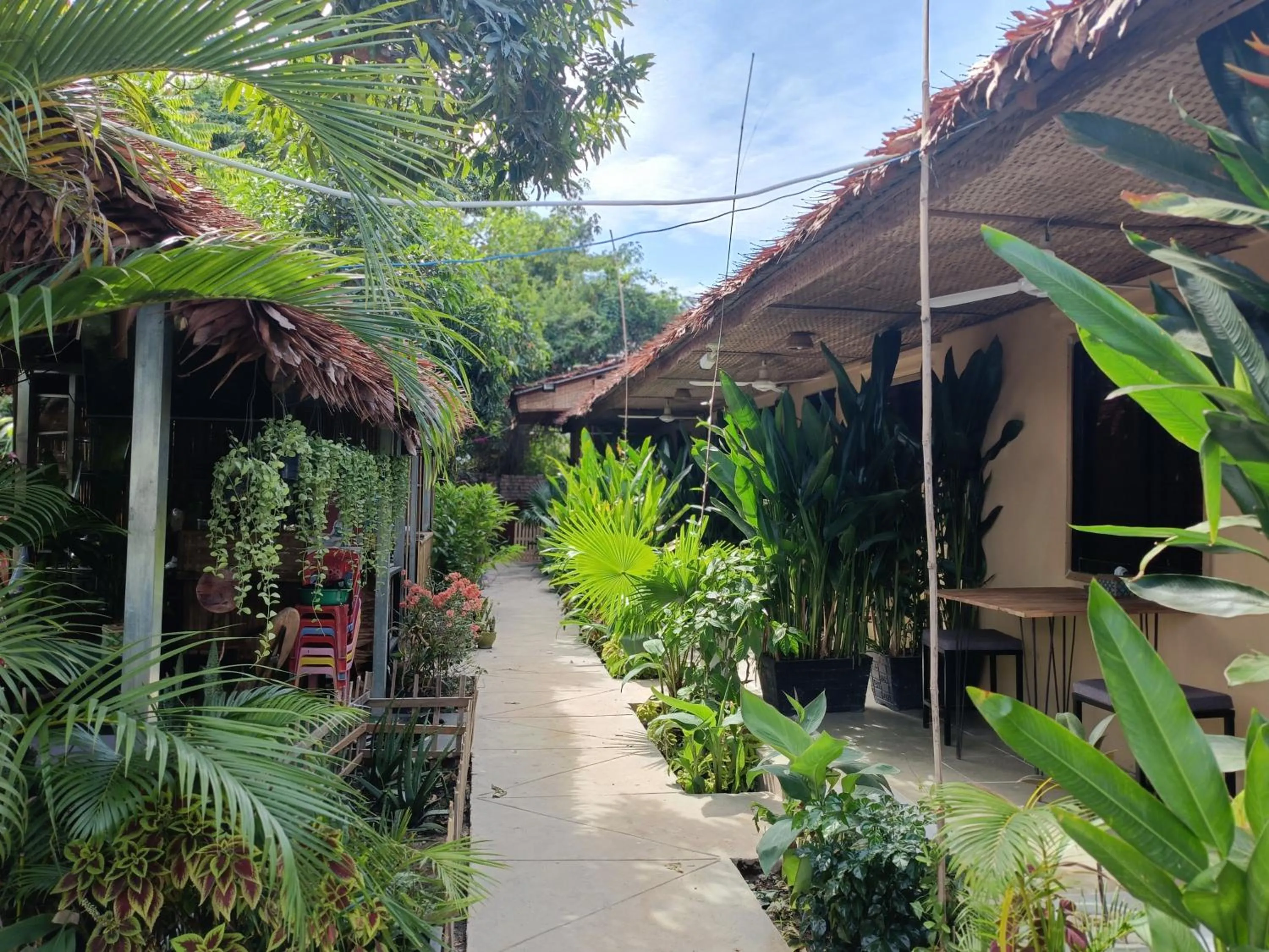 Property building in Siem Reap Homesteading II