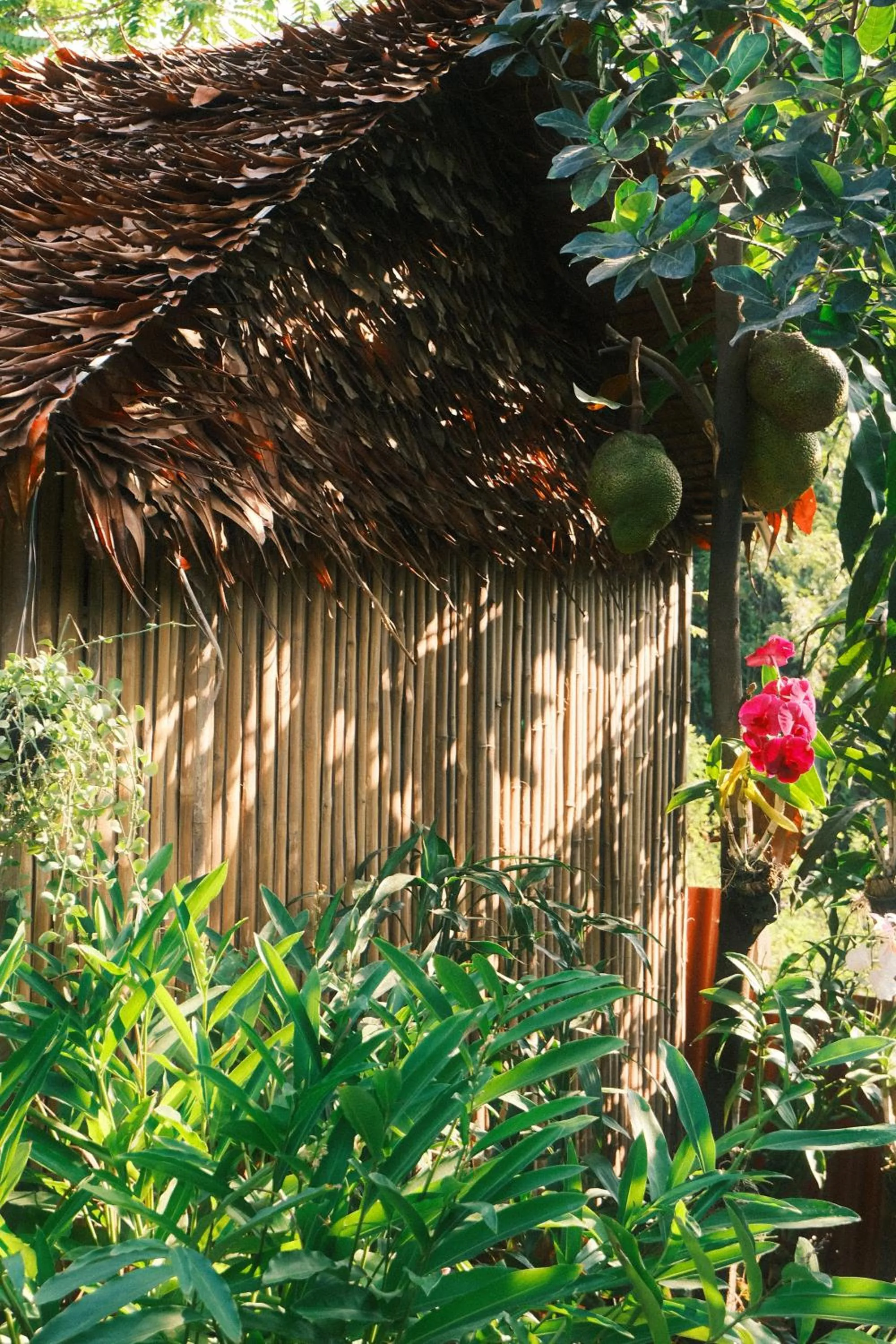 Natural landscape in Siem Reap Homesteading II