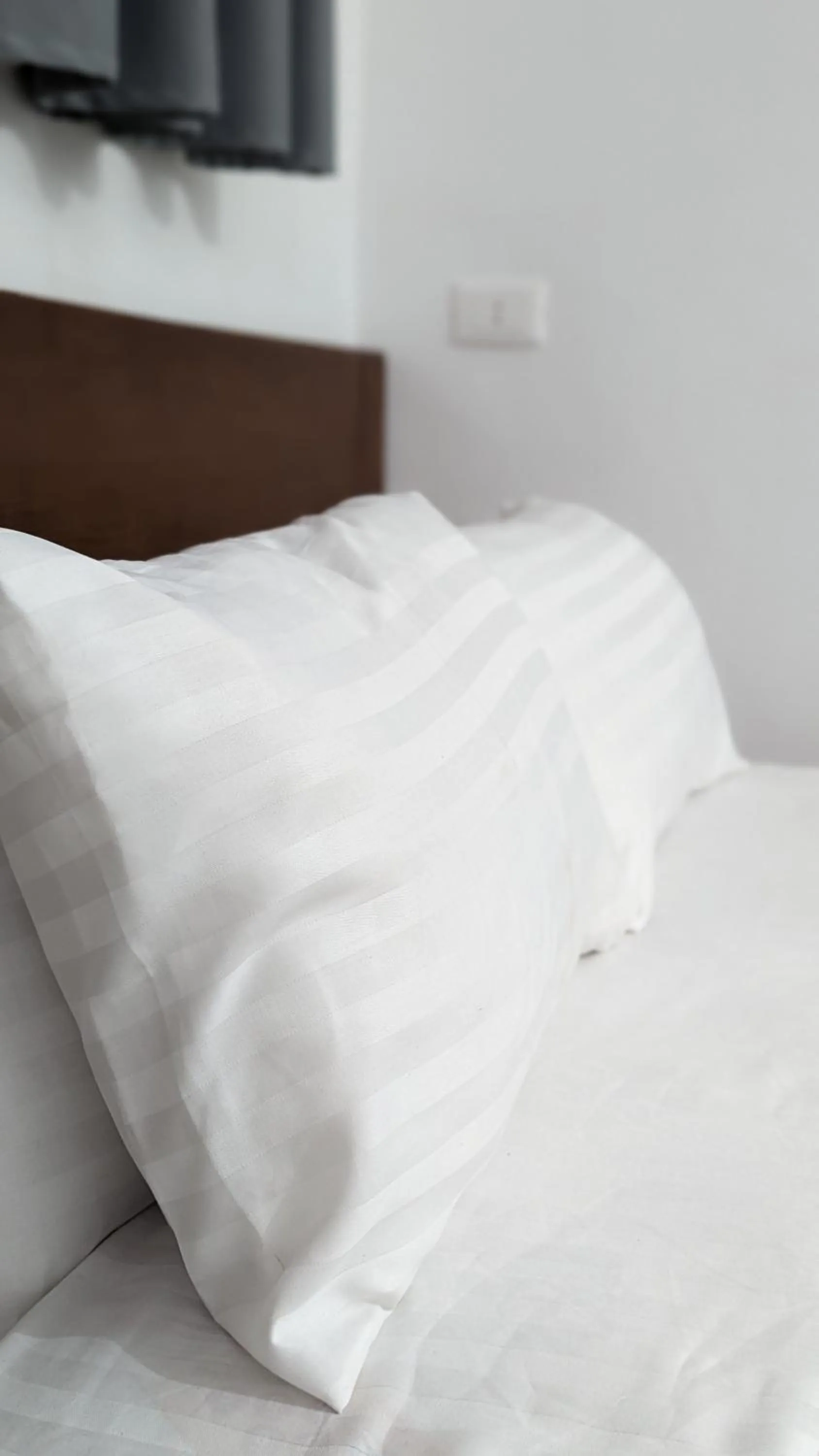 Bed in Champollion Hostel