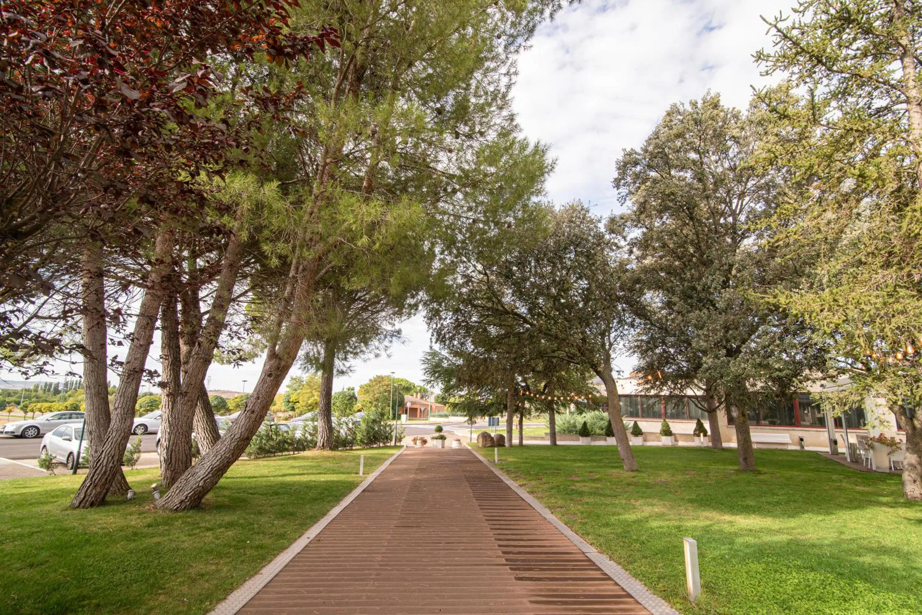 Garden in Hospedium Hotel Europa Centro