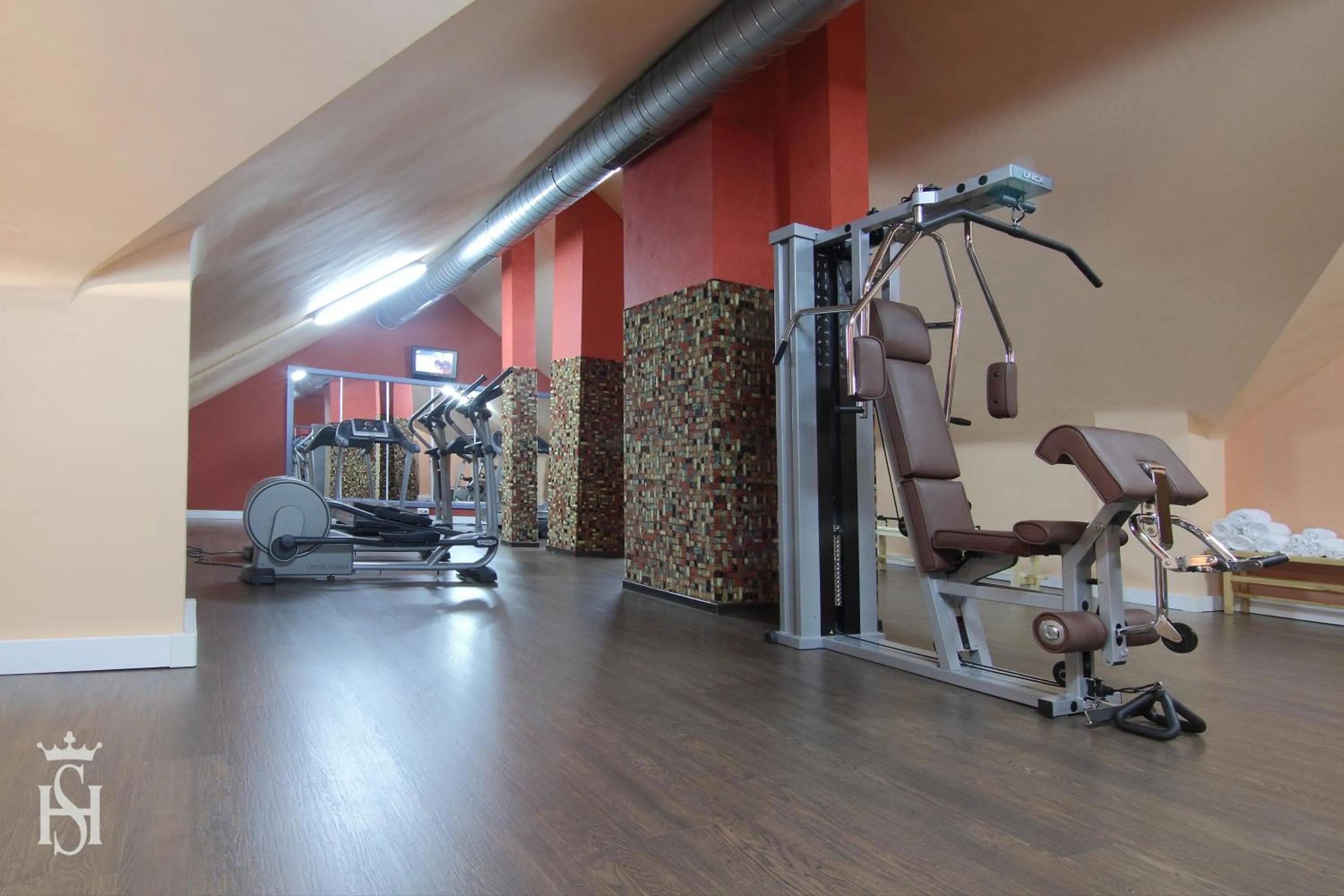 Fitness centre/facilities in Hospedium Hotel Europa Centro