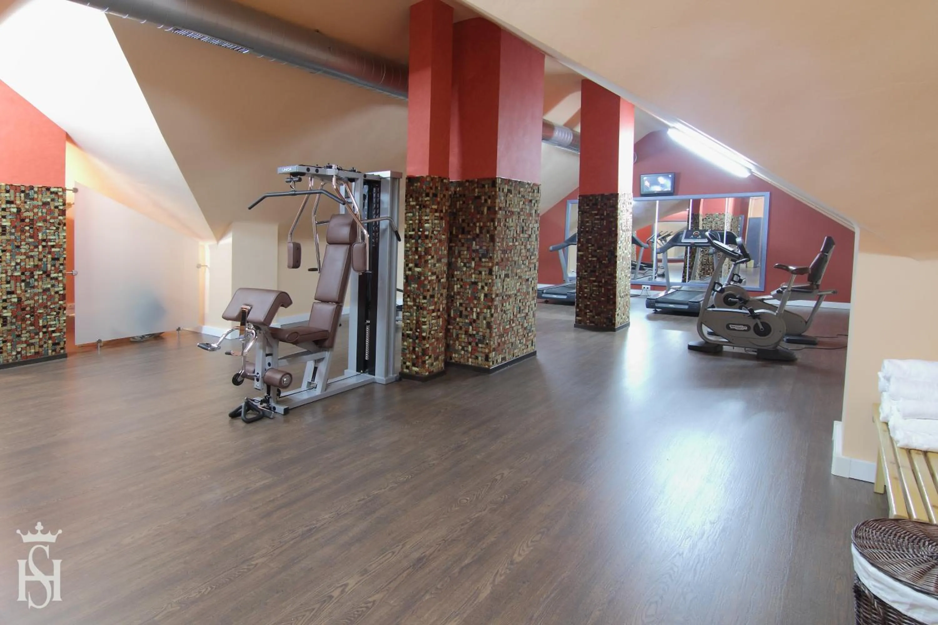 Fitness centre/facilities in Hospedium Hotel Europa Centro