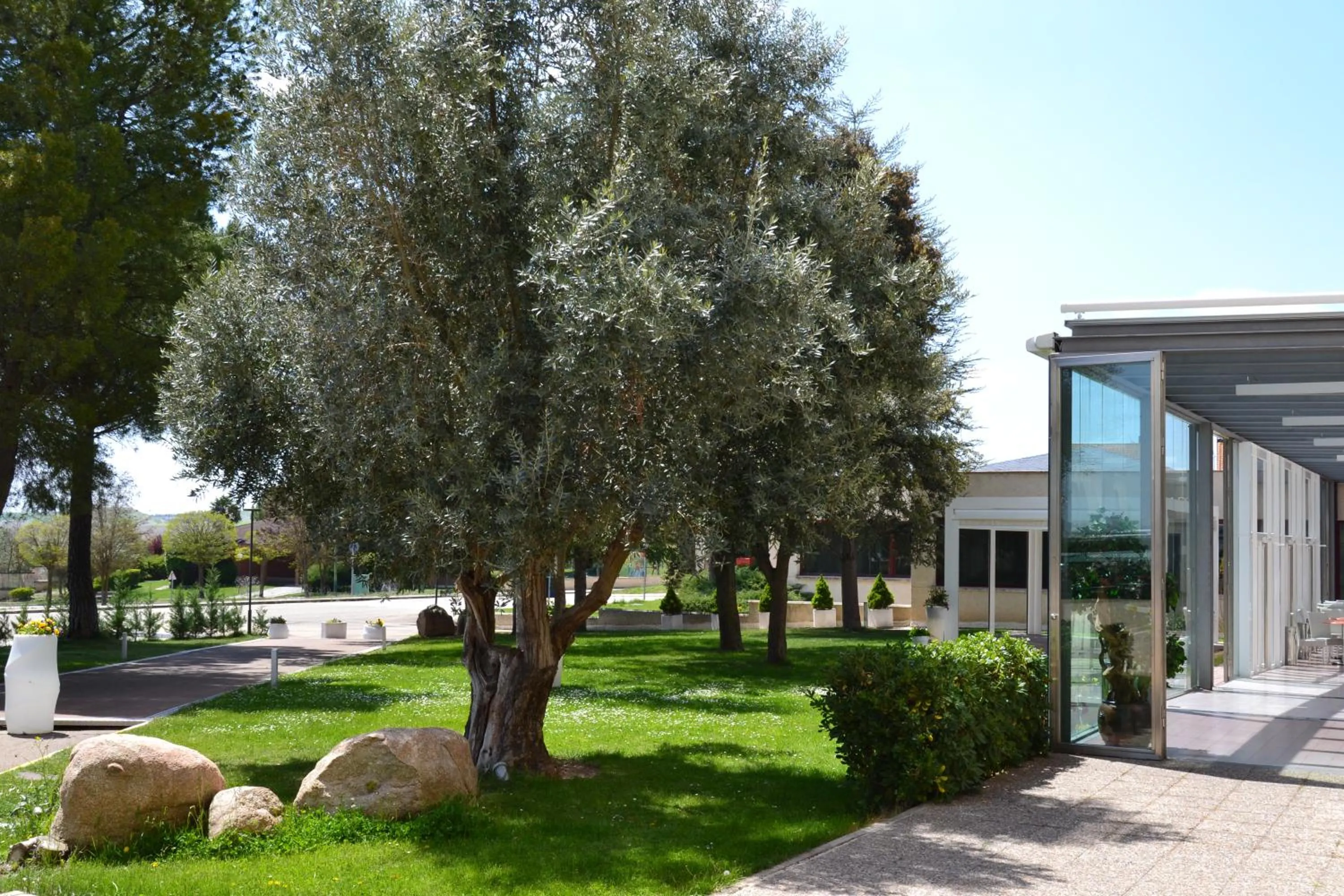 Hospedium Hotel Europa Centro