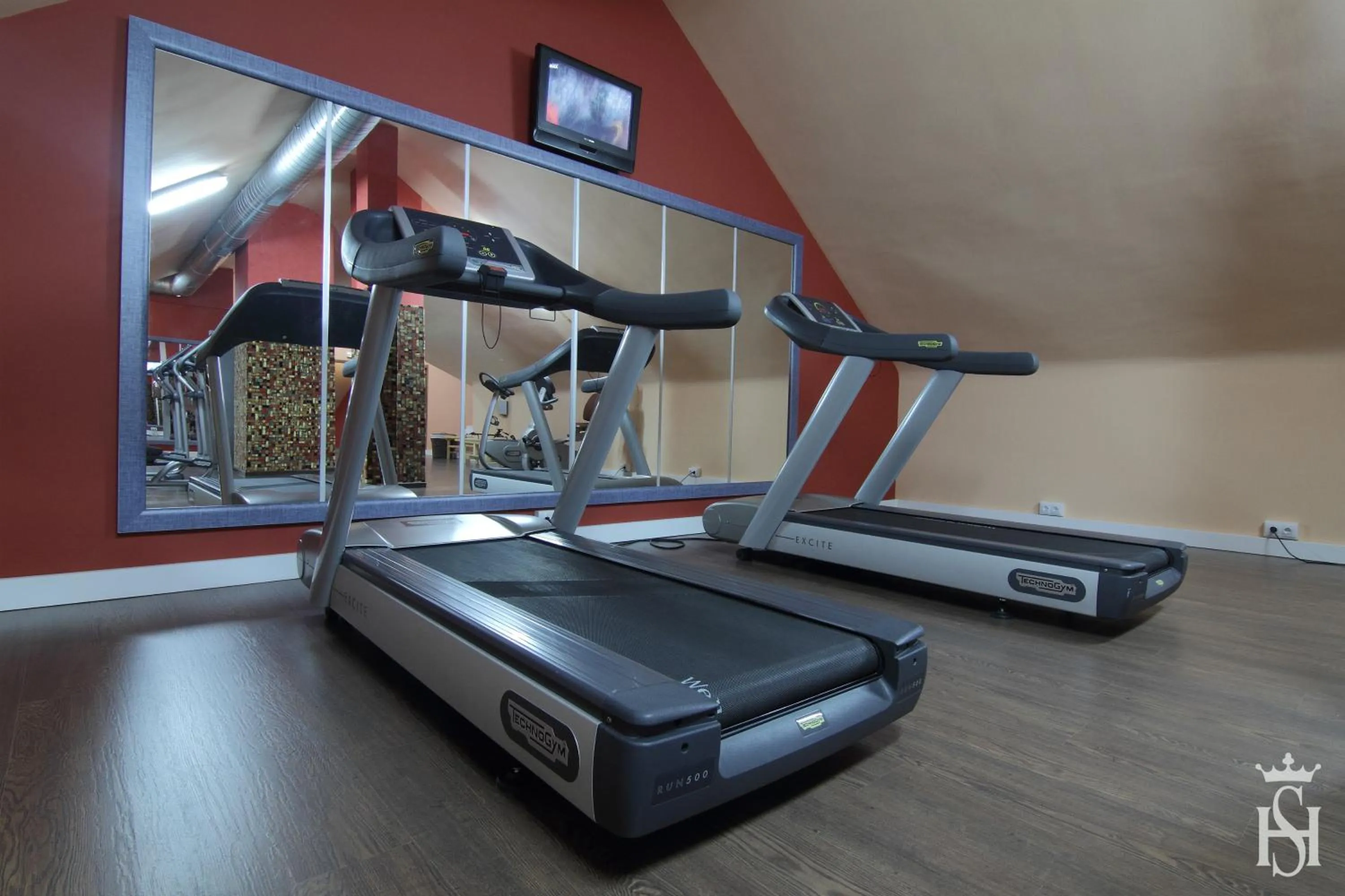 Fitness centre/facilities in Hospedium Hotel Europa Centro