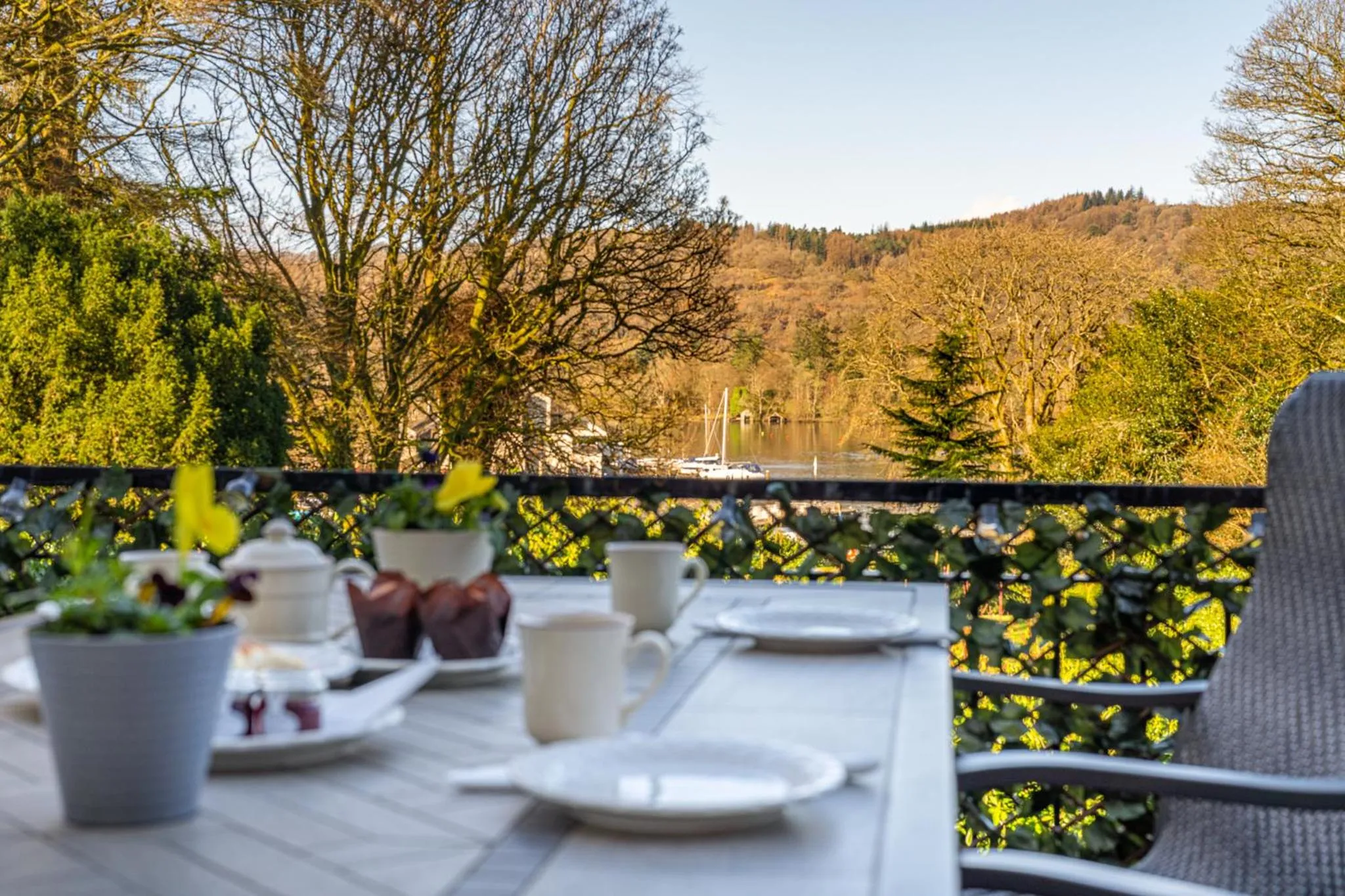 Food and drinks in The Berry Boutique