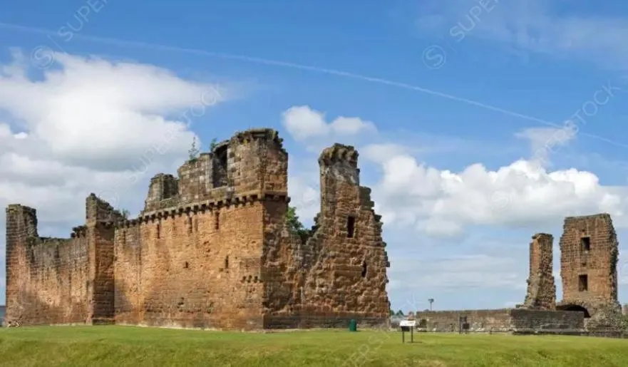 Natural landscape in The Berry Boutique