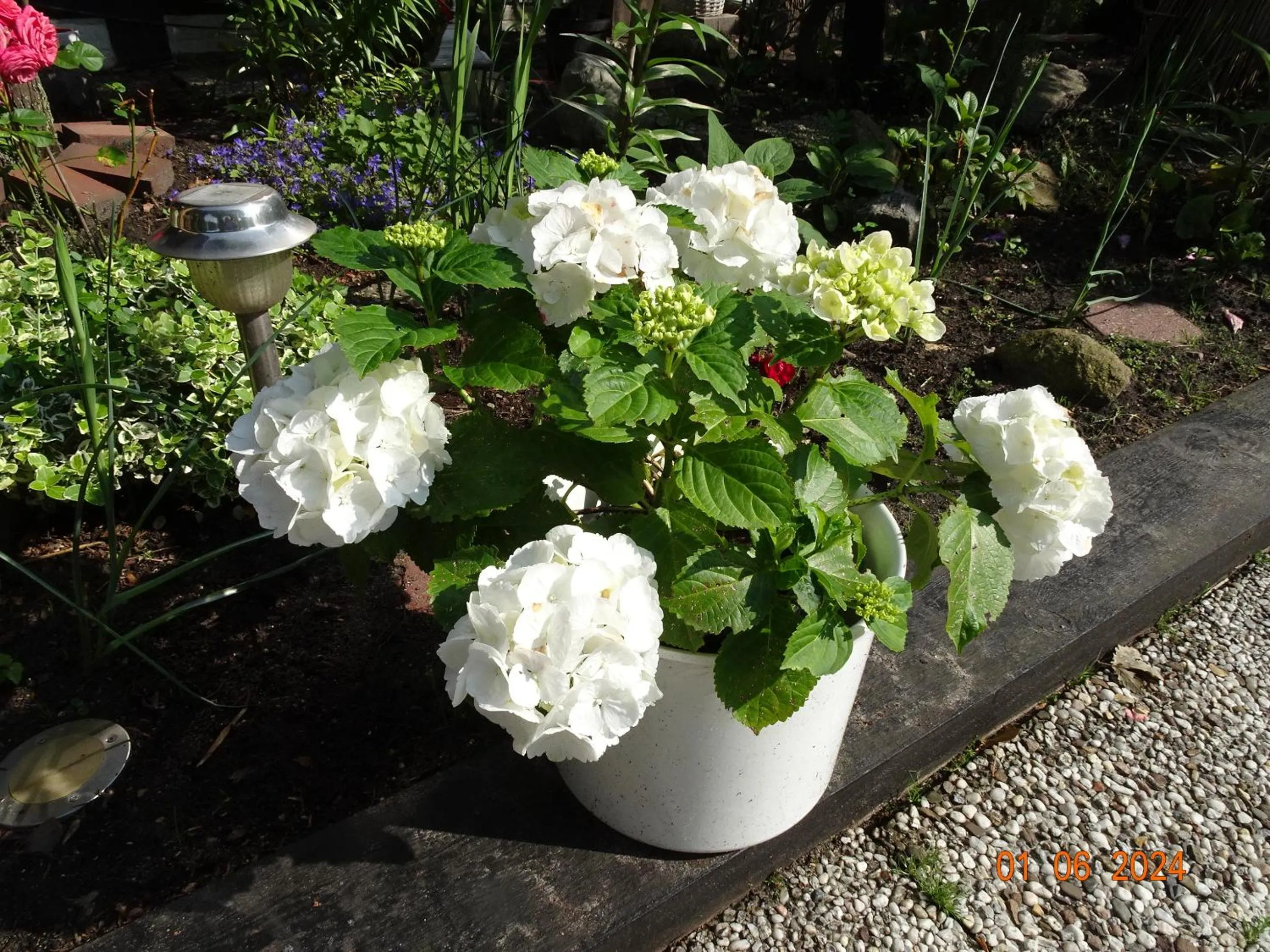 Hotel zum alten Torfkahn