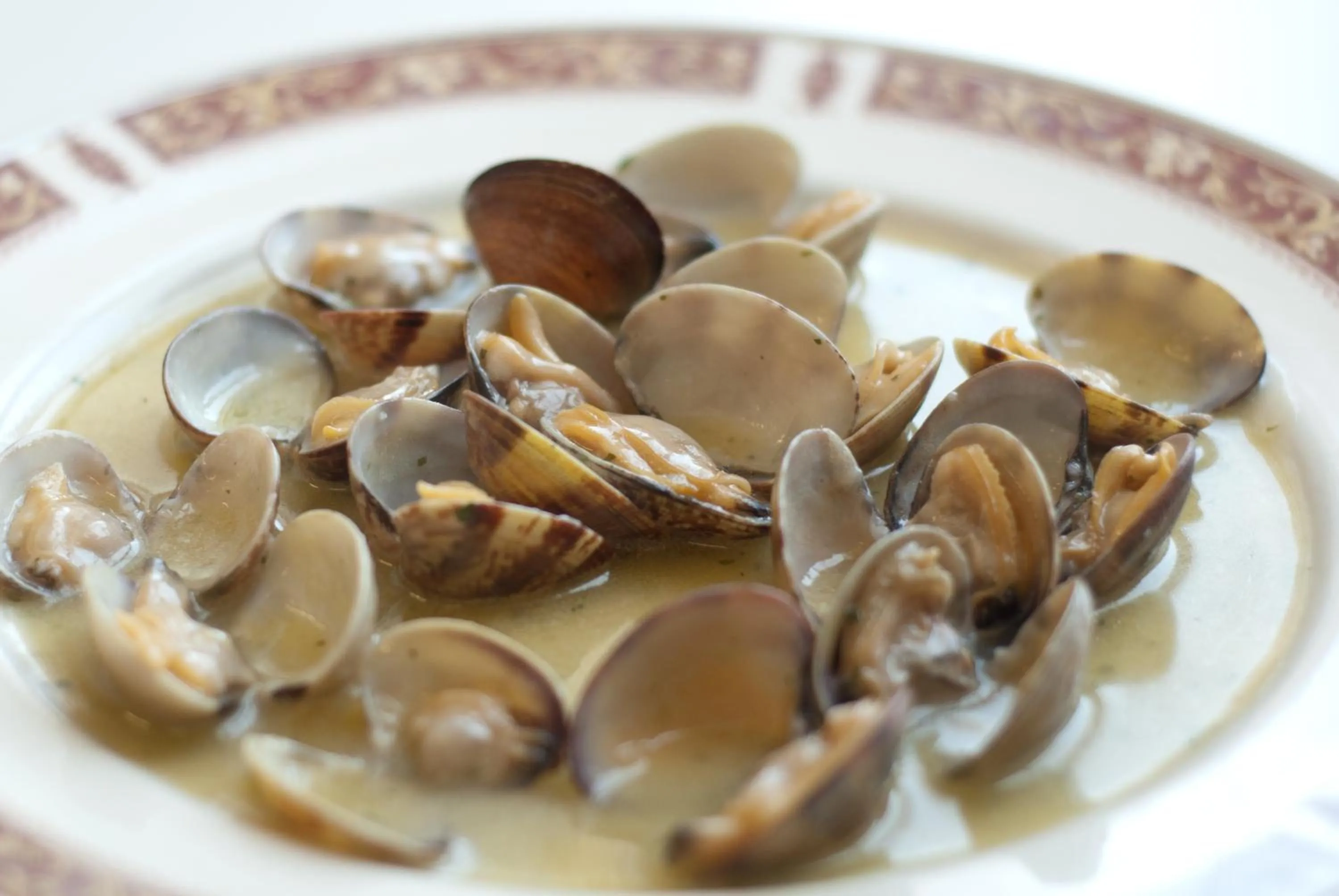 Restaurant/places to eat in Hotel Andia