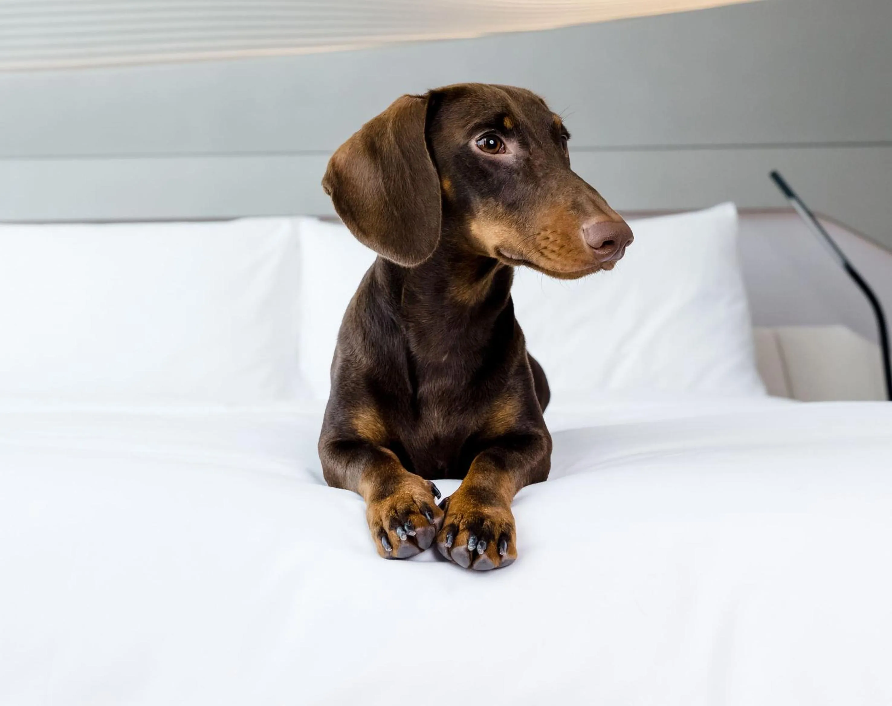 Bed in INNSiDE Zaragoza