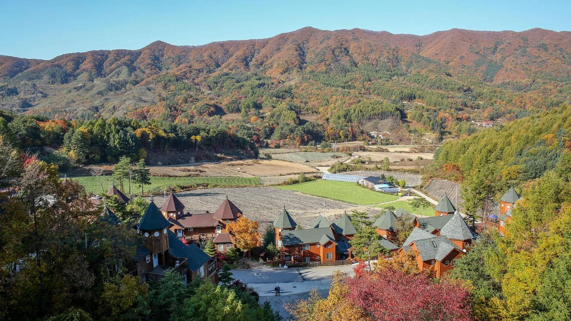 Balcony/Terrace in Elf Resort Hotel