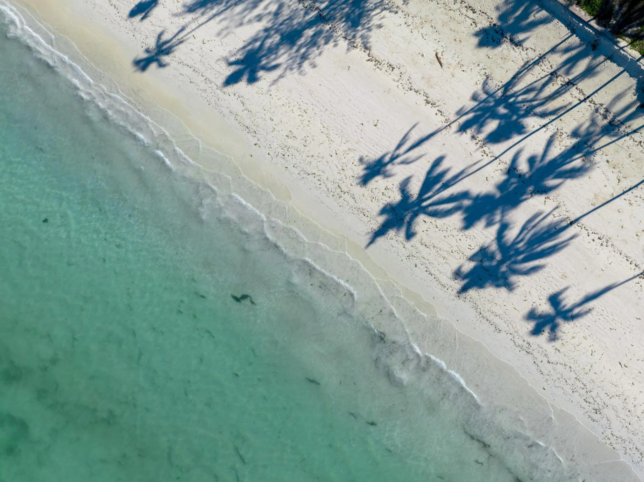 Day in F-Zeen Boutique Hotel Zanzibar