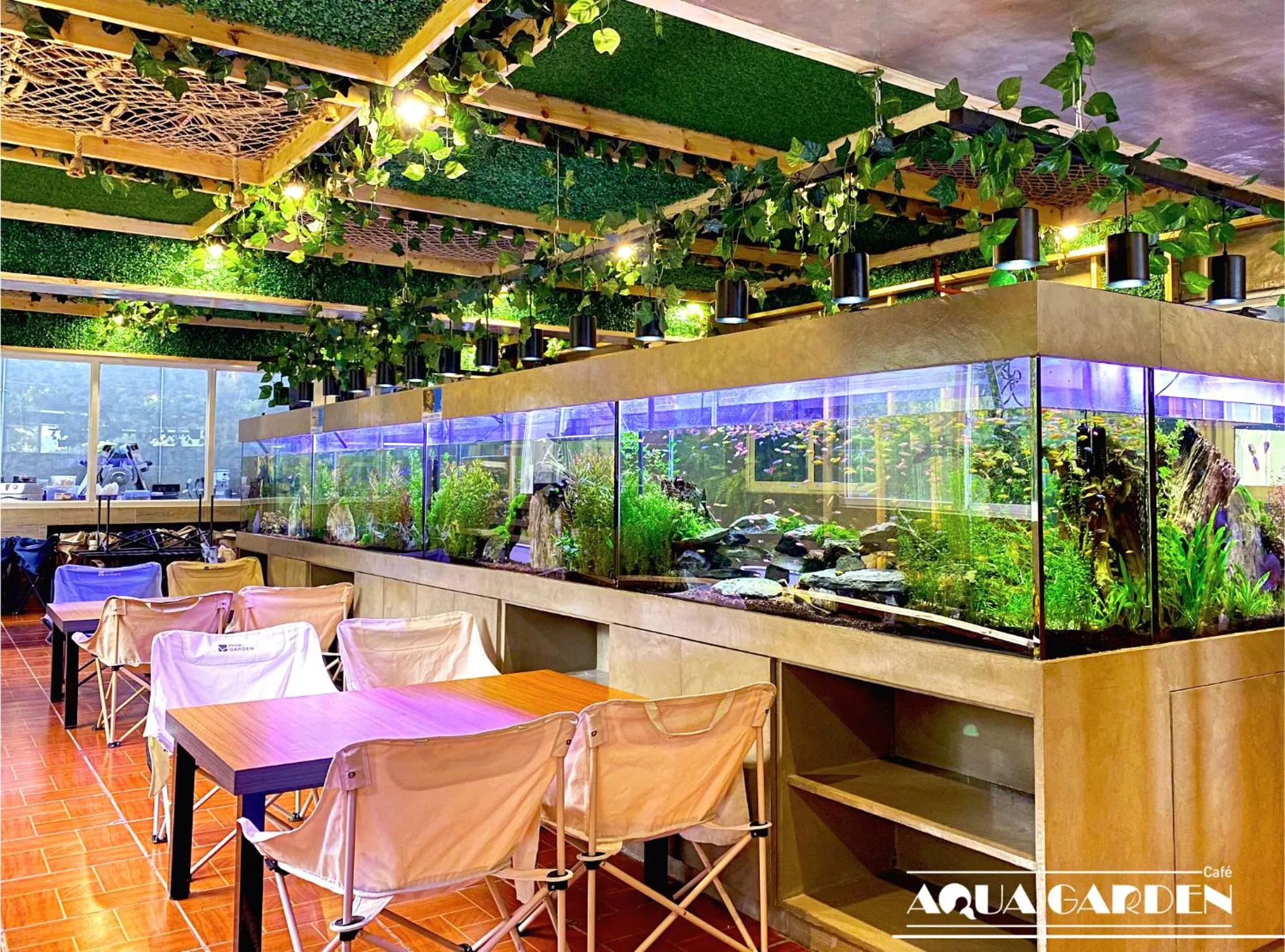 Property building in Misty Hills