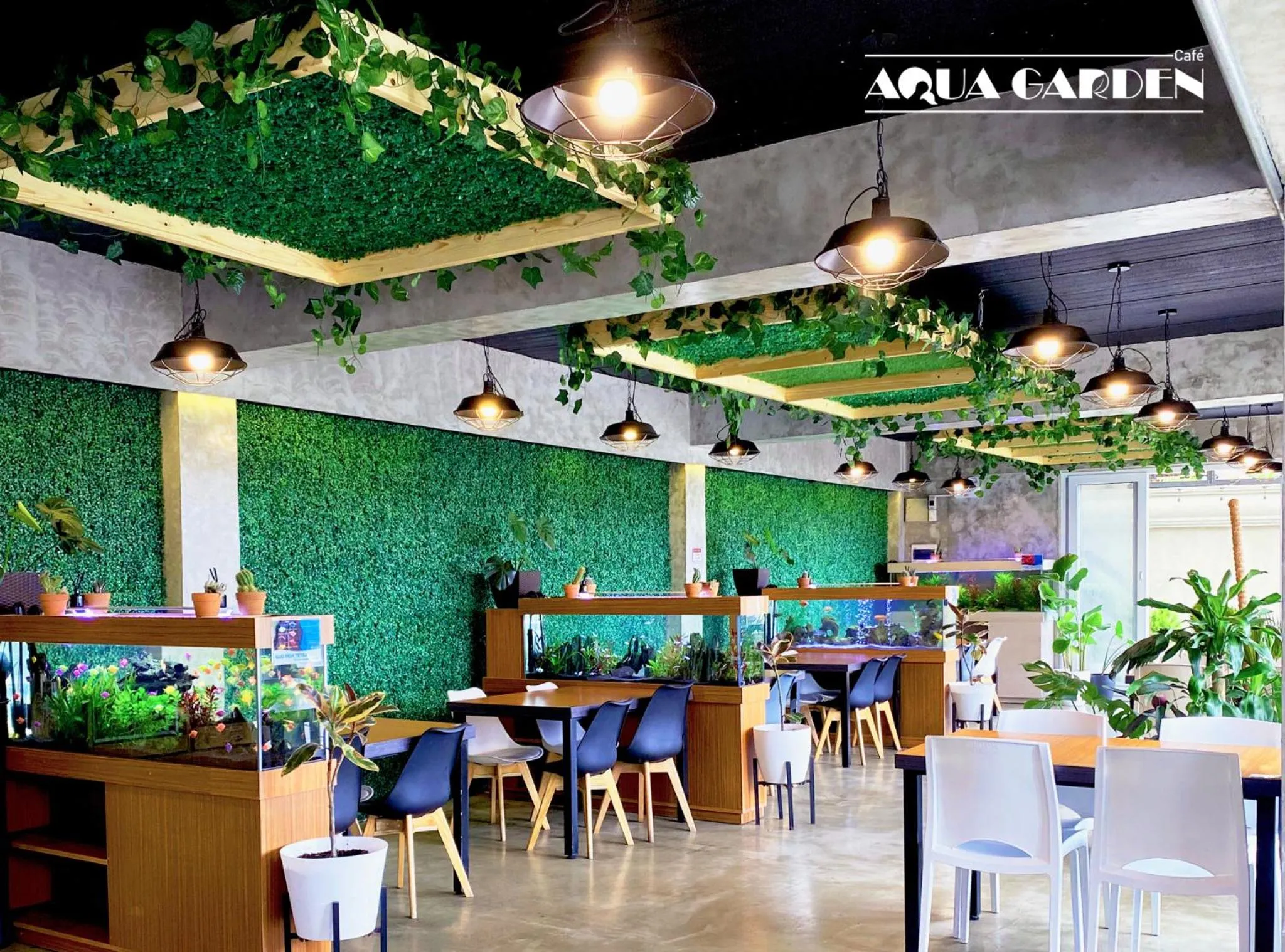 Property building in Misty Hills