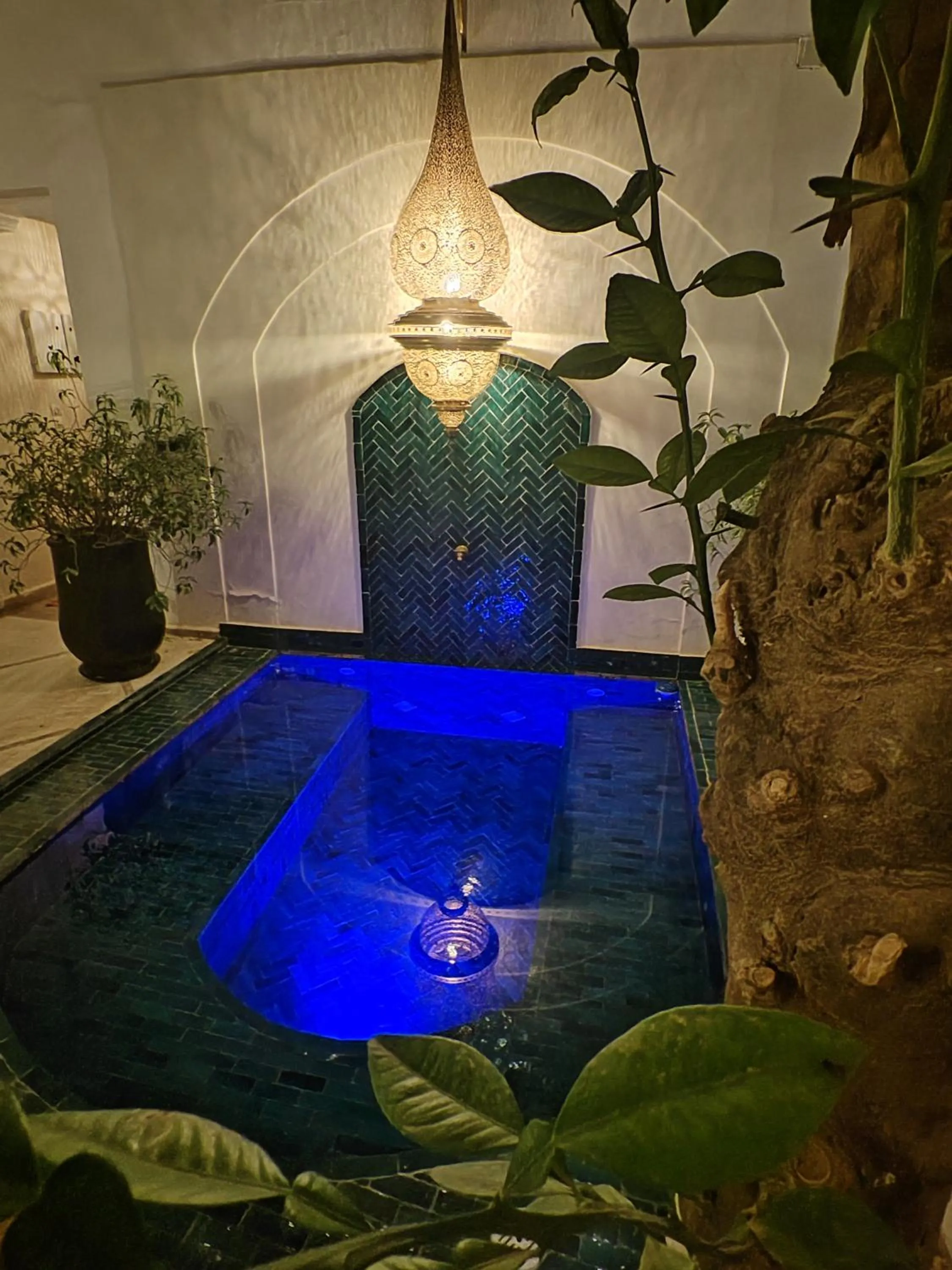 Swimming pool in Riad Villa Berna under Swiss Management