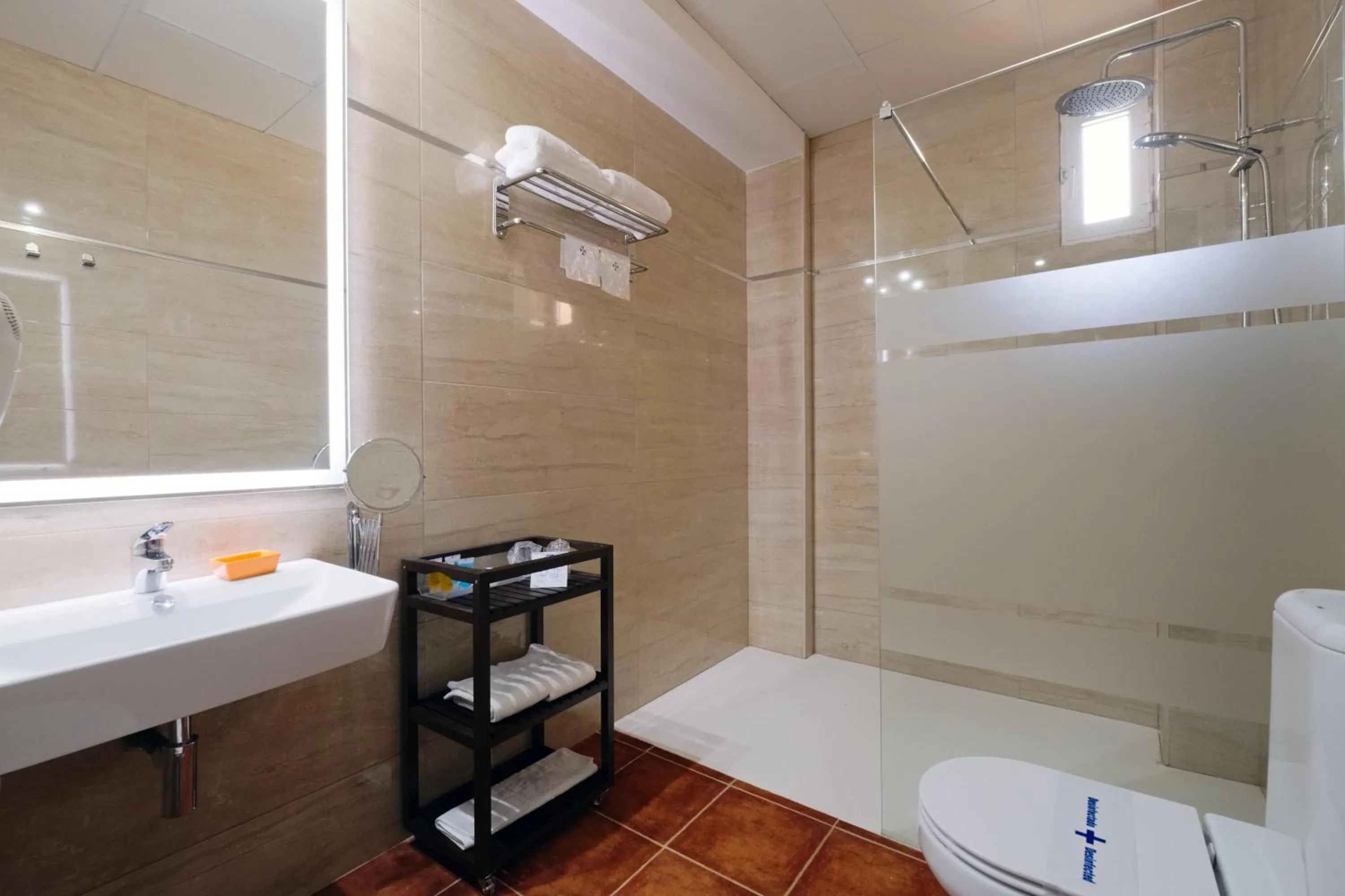 Shower in Hotel Guadalquivir