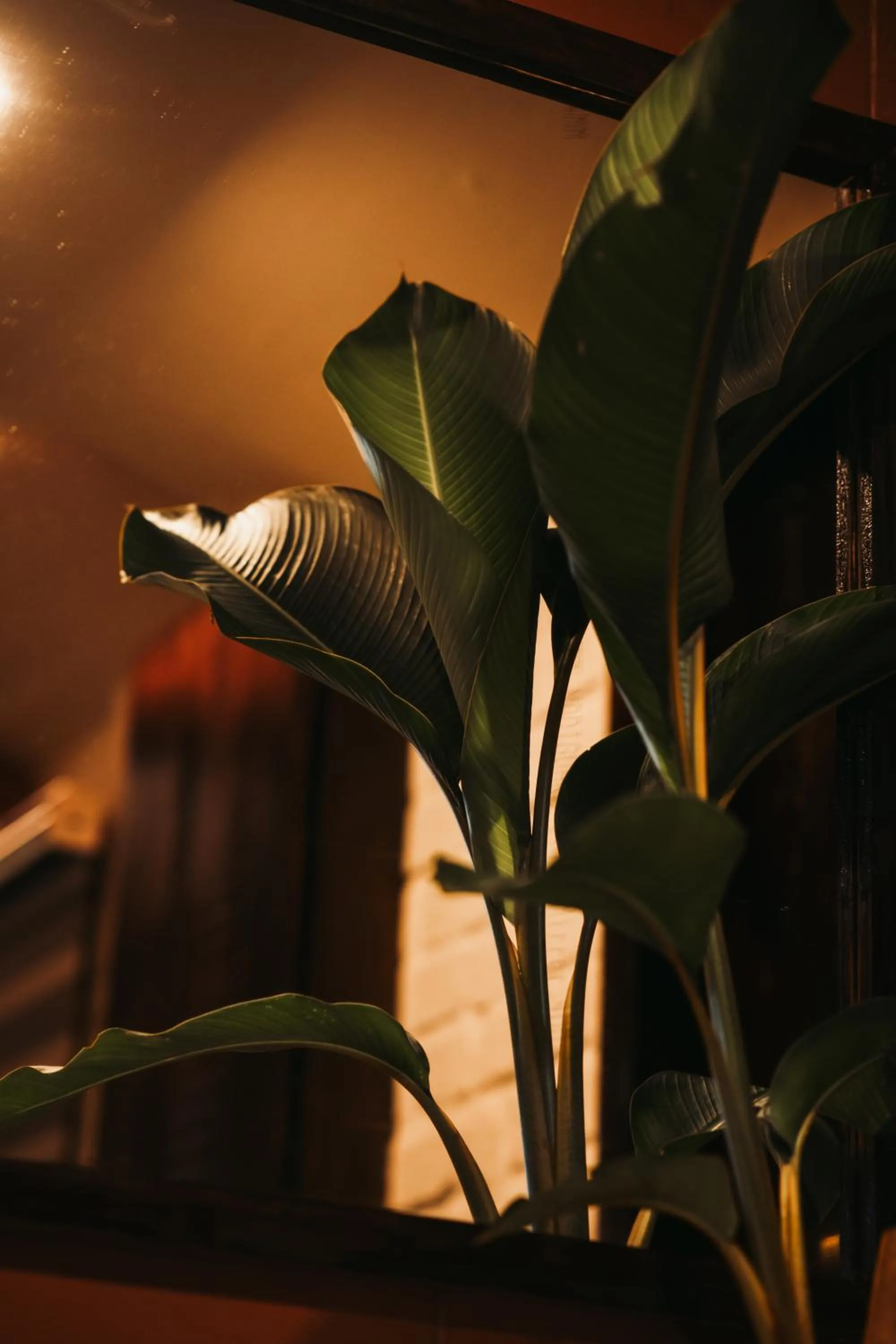 Decorative detail in Boho's Hotel