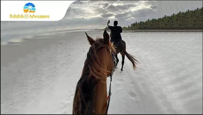 Horse-riding in Park Complex