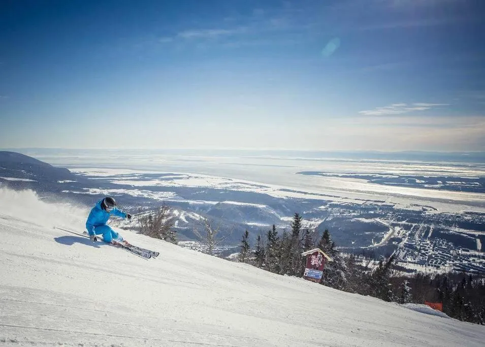 Natural landscape in Initial- Soeur No15 - MSA