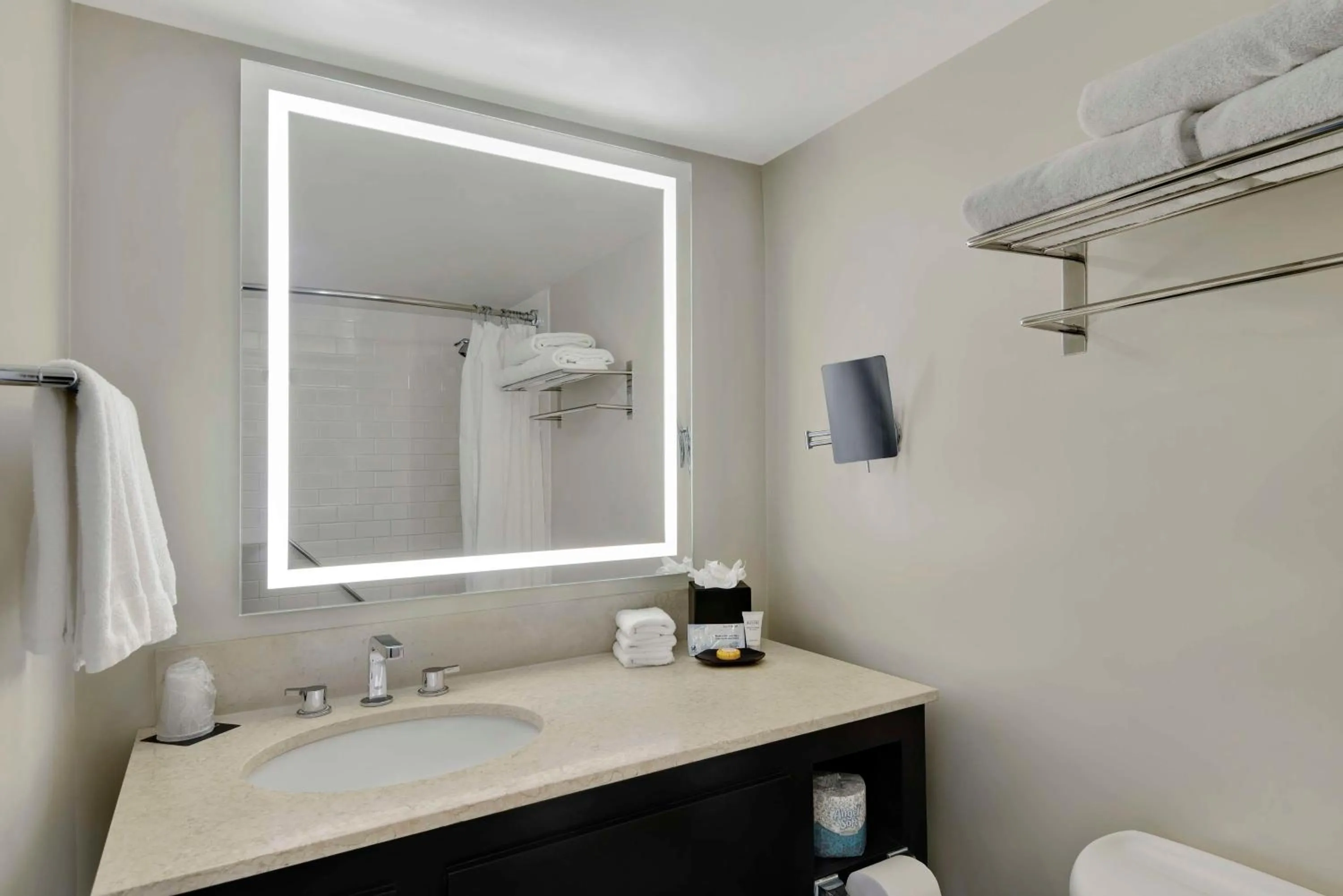 Bathroom in Hotel Tampa Riverwalk