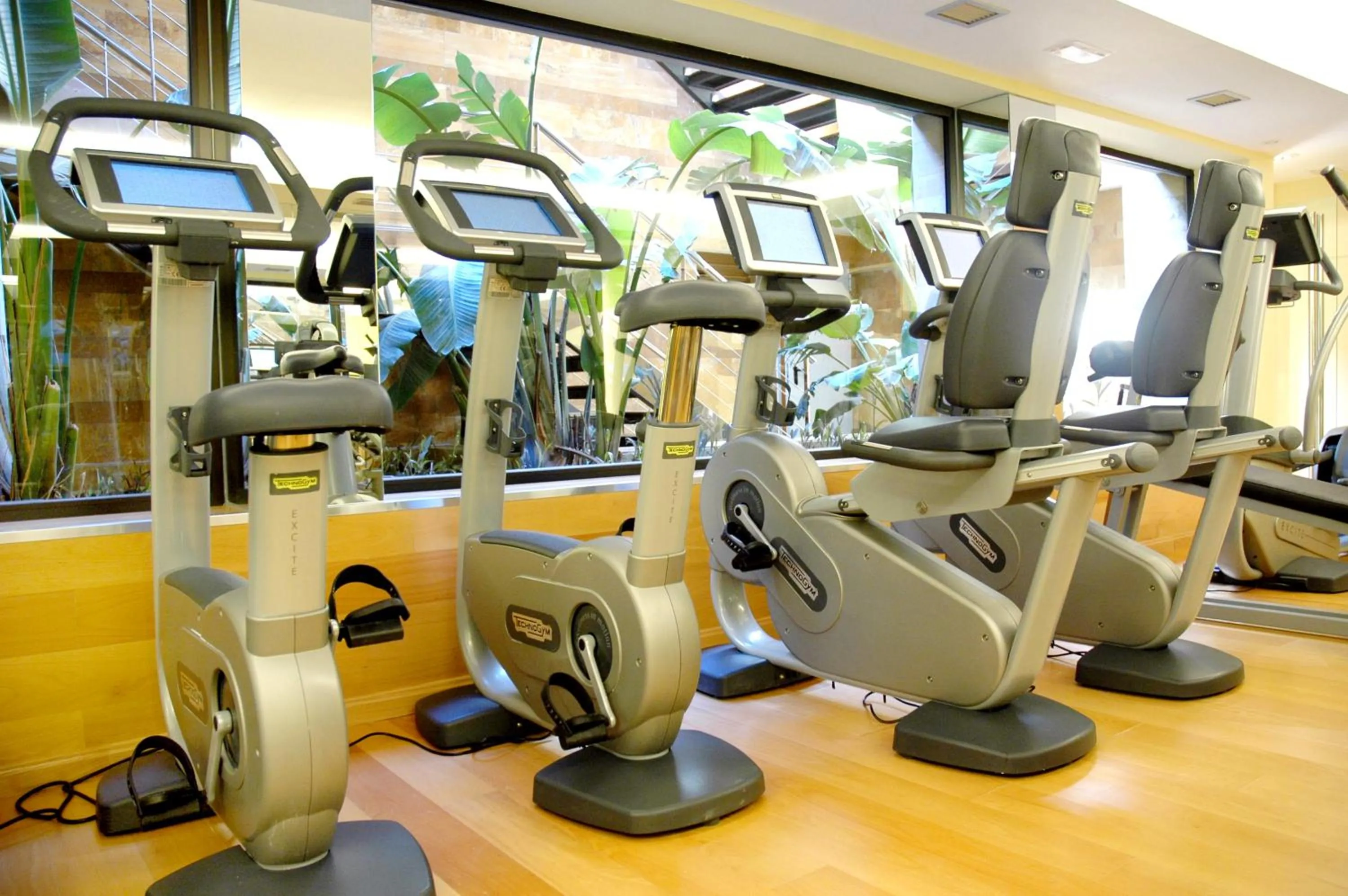 Fitness centre/facilities in Gran Hotel Guadalpín Banus