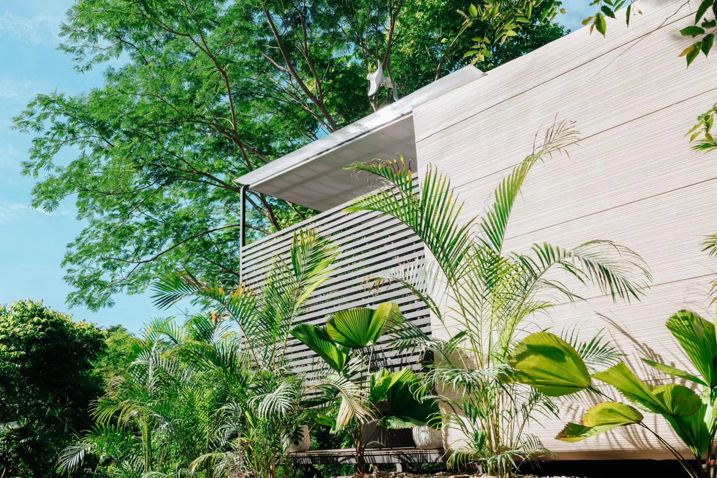 Property building in Alaya Yoga & Surf & Retreat