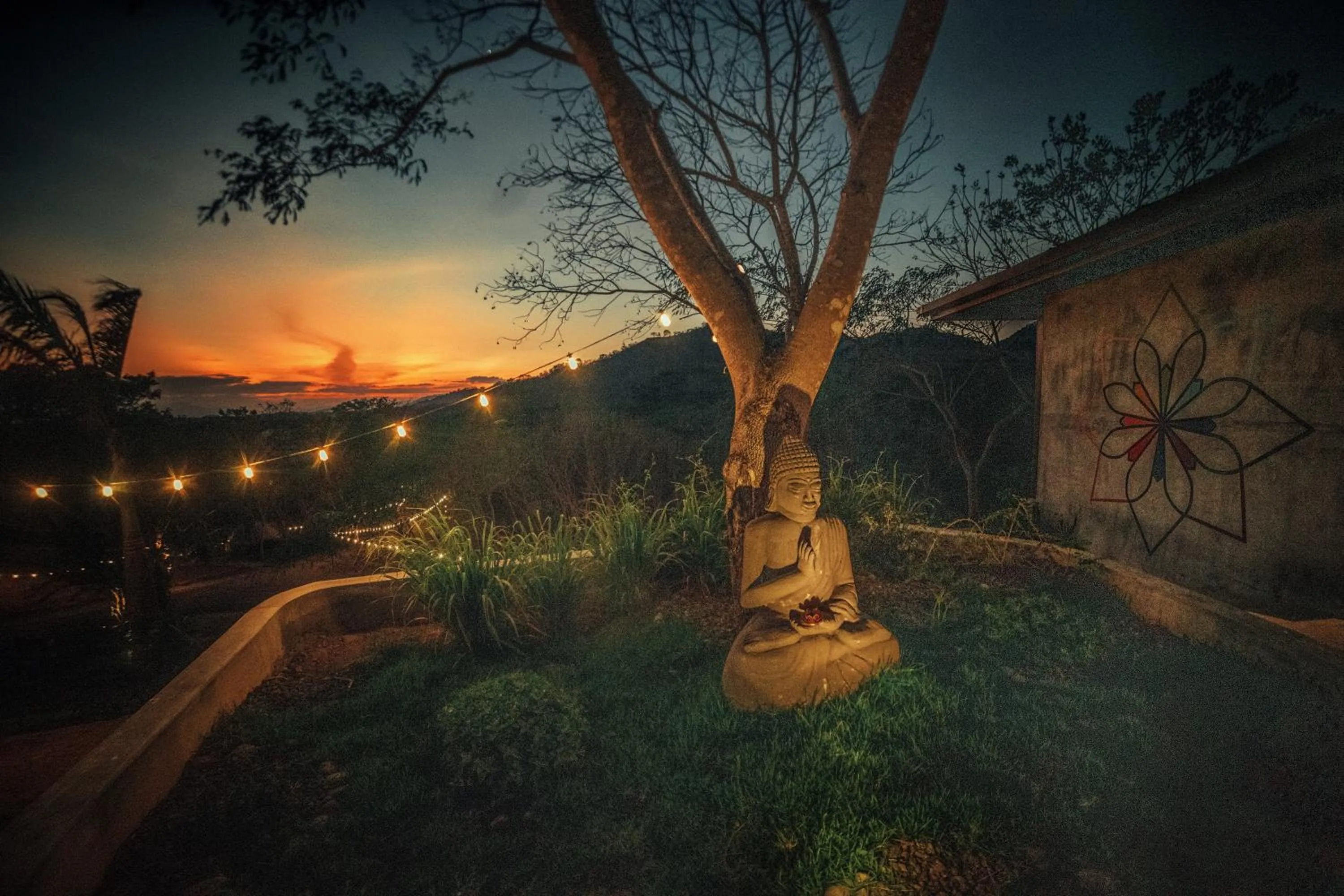 Restaurant/places to eat in Alaya Yoga & Surf & Retreat