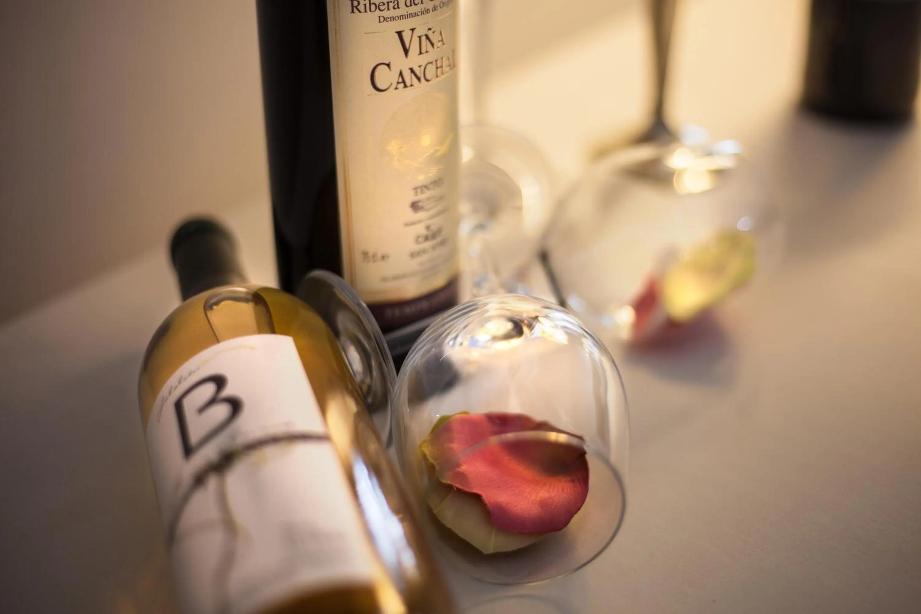 Alcoholic drinks in Izan Trujillo