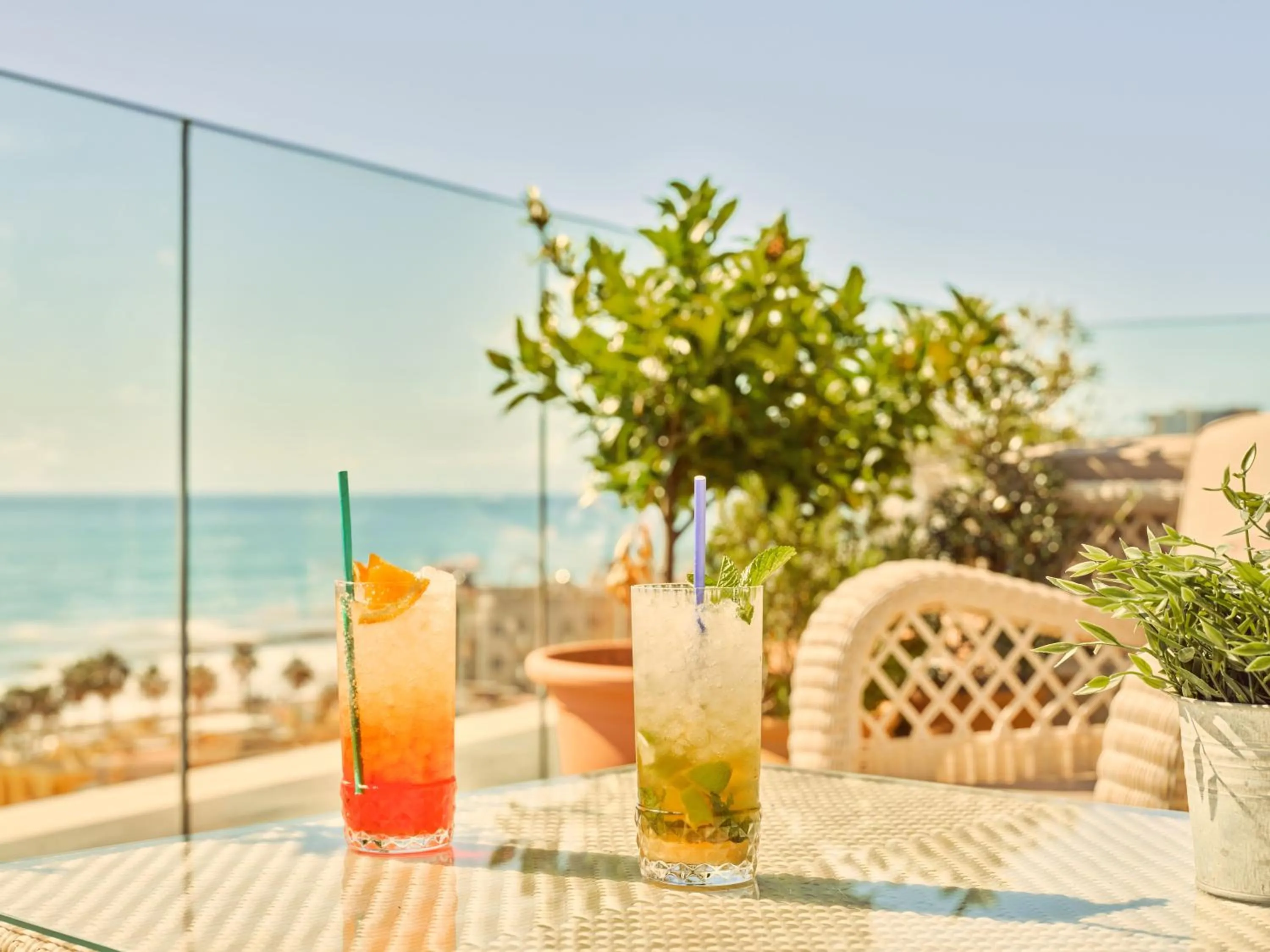 Drinks in Fénix Torremolinos - Adults Only Recommended