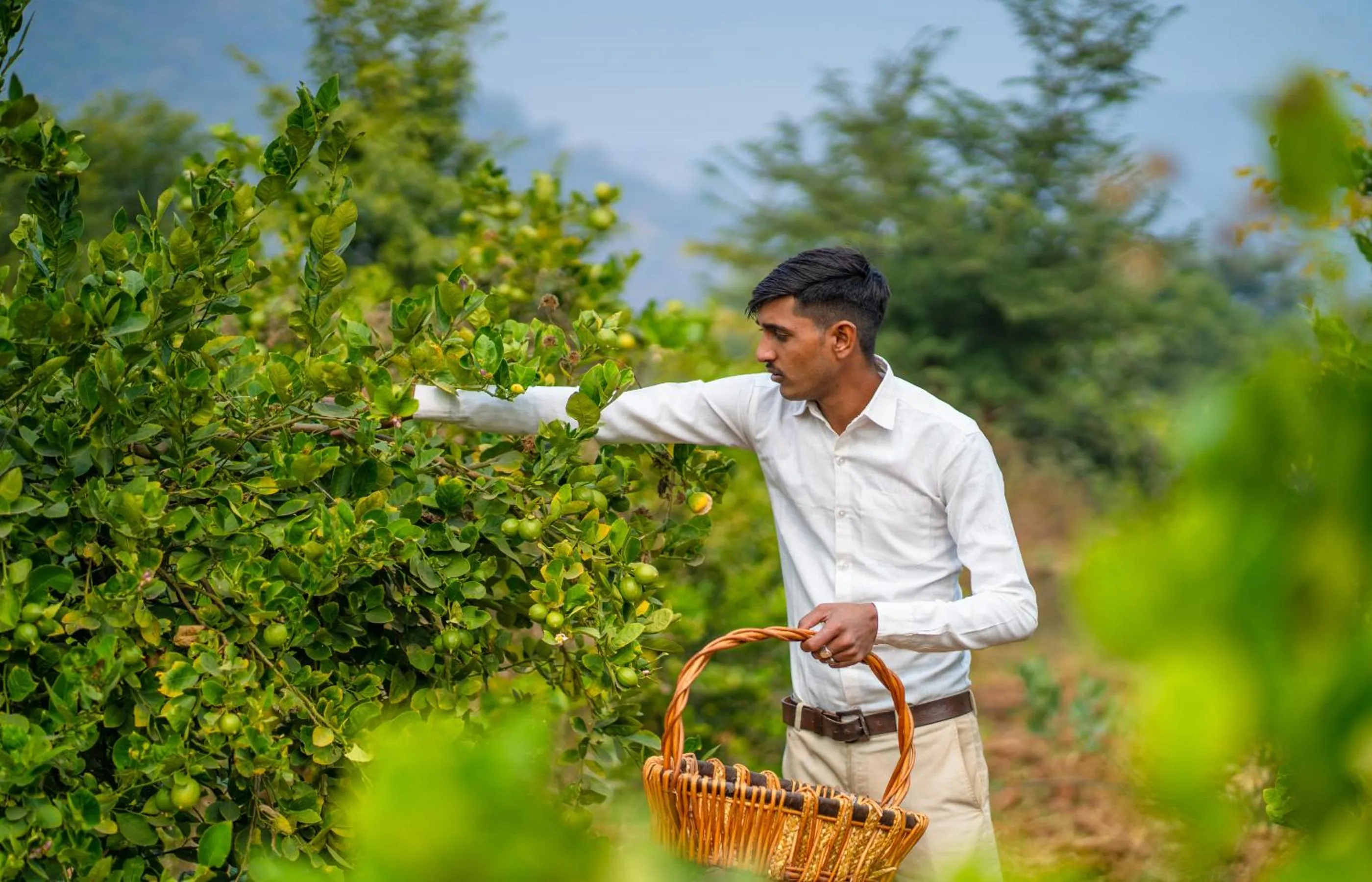 Garden in Guldaar Sariska - A luxury Forest Resort