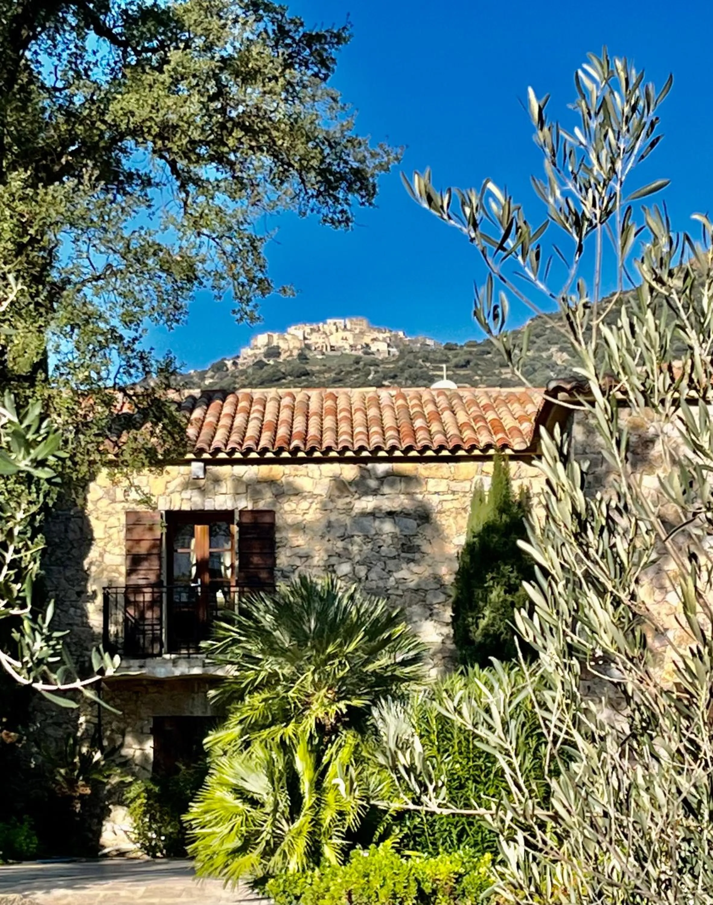 Spring in Domaine du Reginu