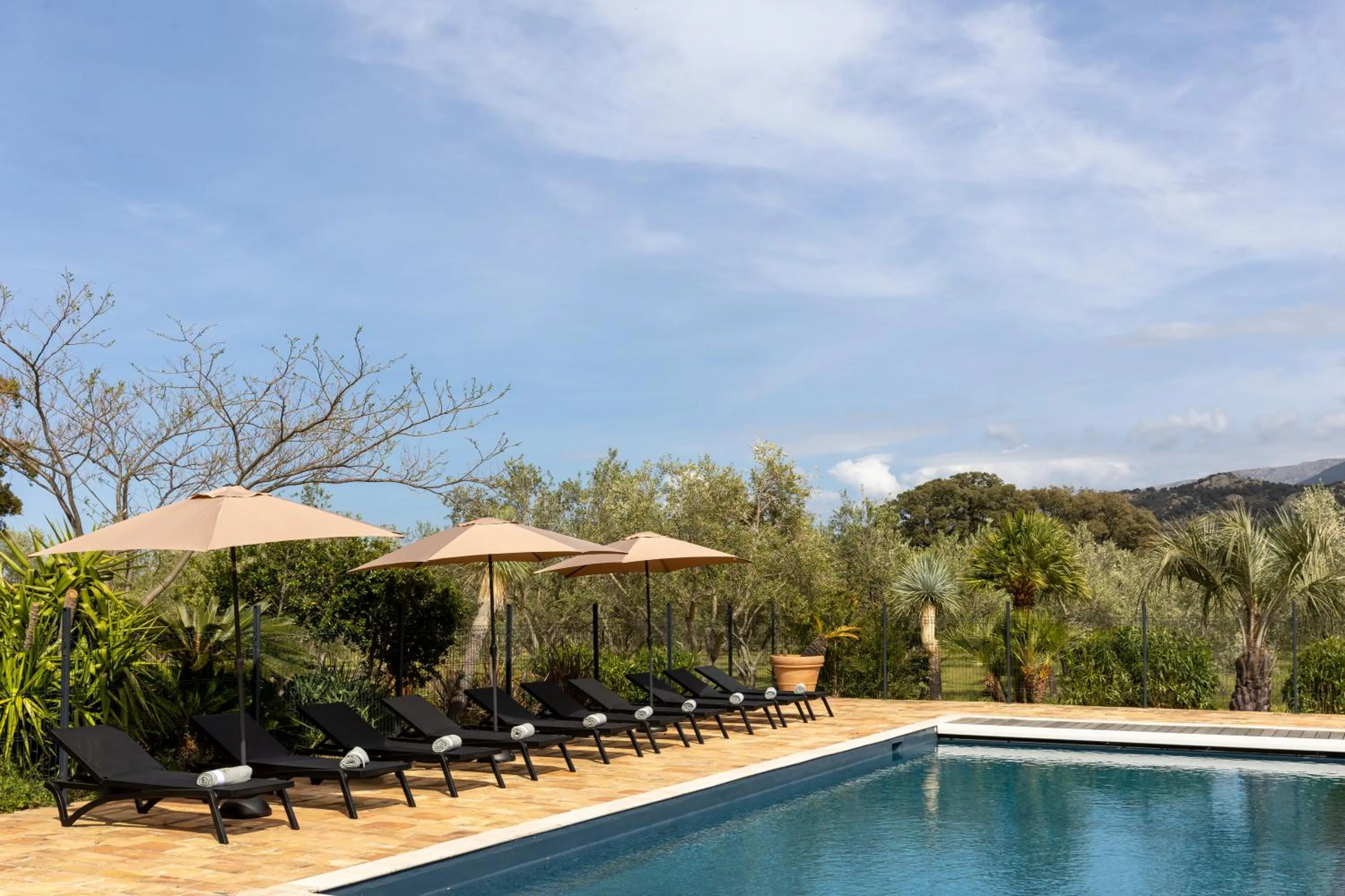 Spring in Domaine du Reginu