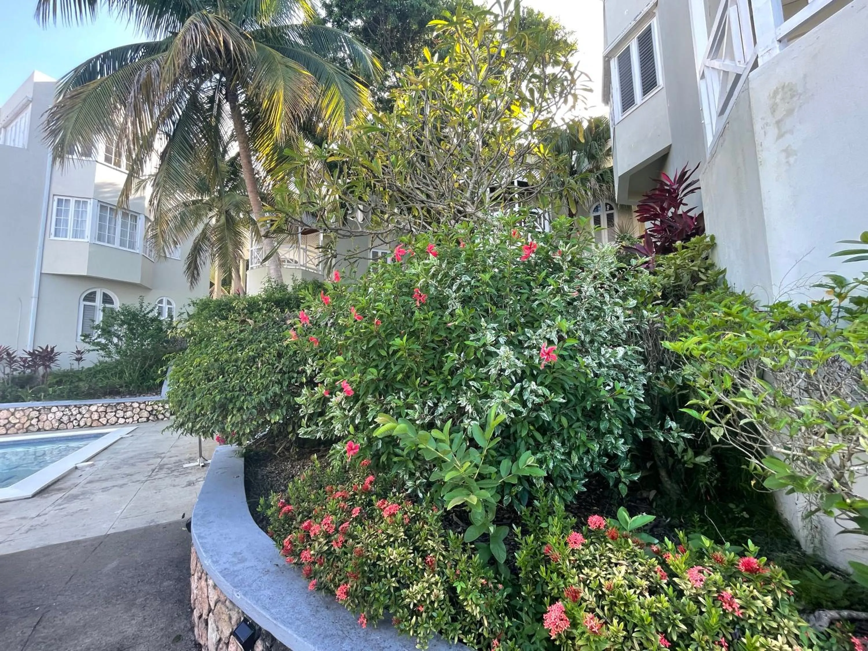 Garden in Hummingbird Retreat - Luxury Oceanview Apt, 7-Minute Walk to Beach