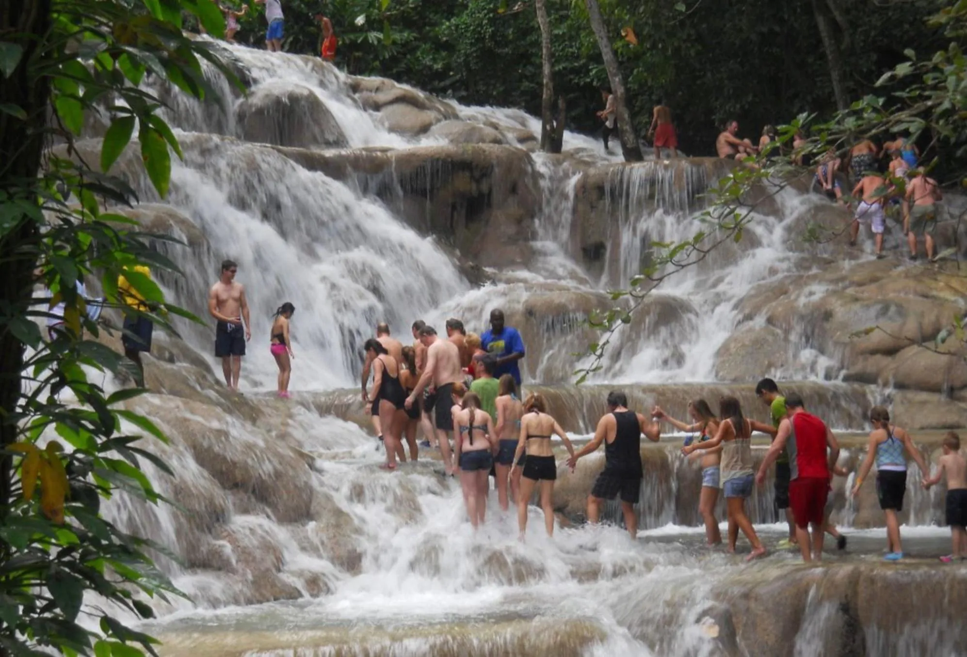 Nearby landmark in Hummingbird Retreat - Luxury Oceanview Apt, 7-Minute Walk to Beach