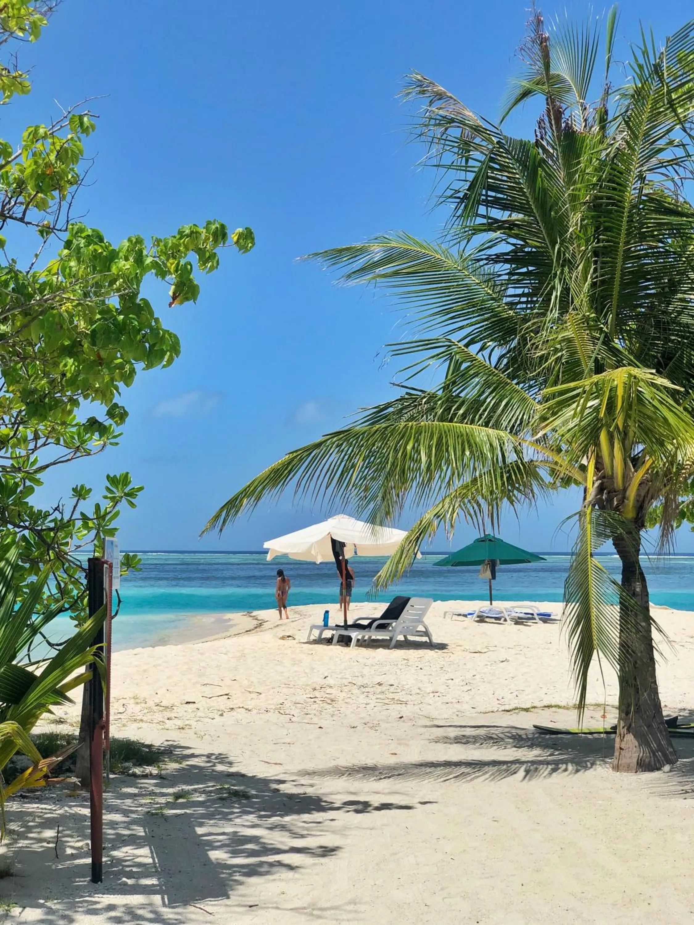 Natural landscape in TravelRim Maldives