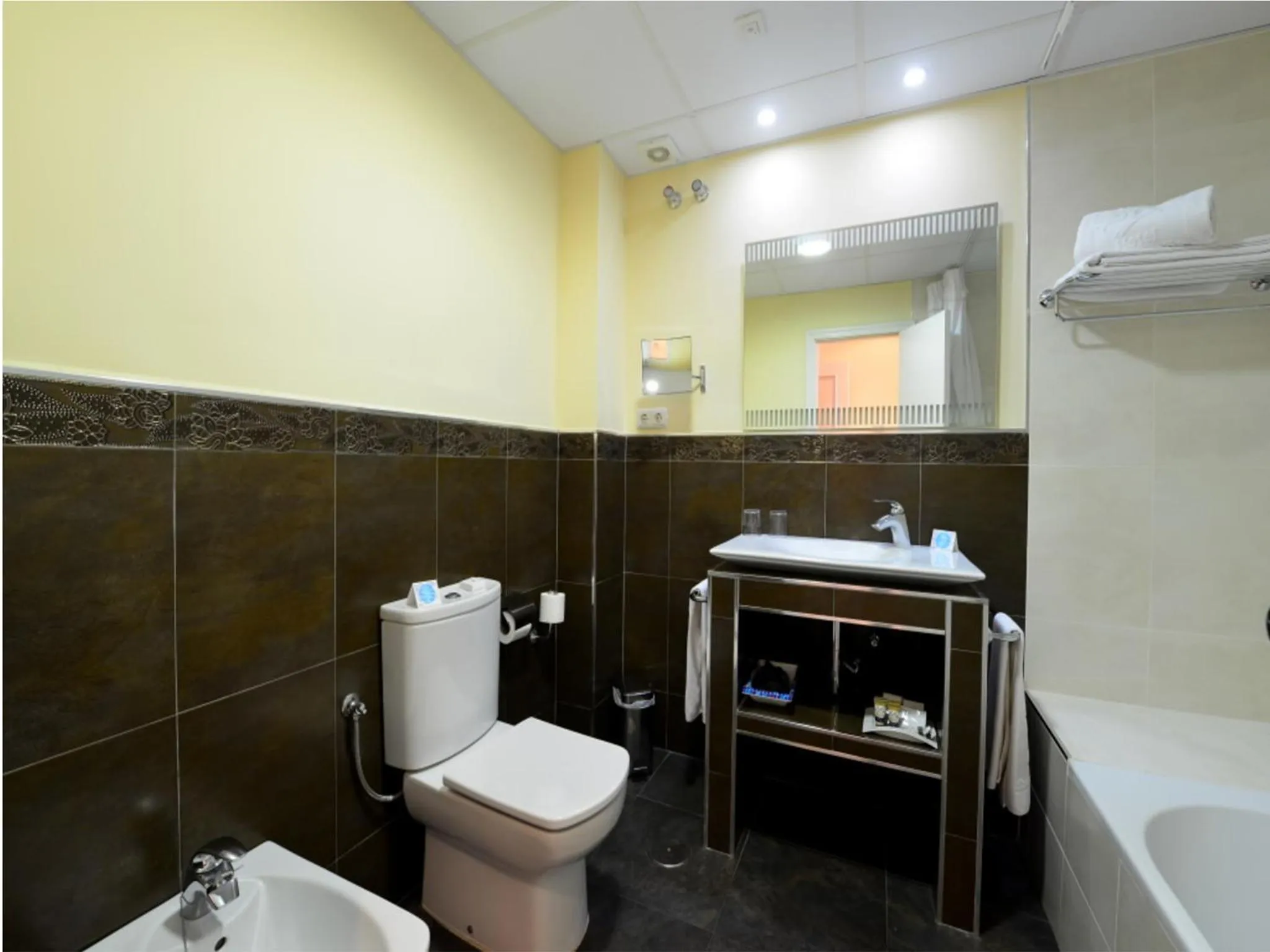 Bathroom in Hotel Salobreña Suites