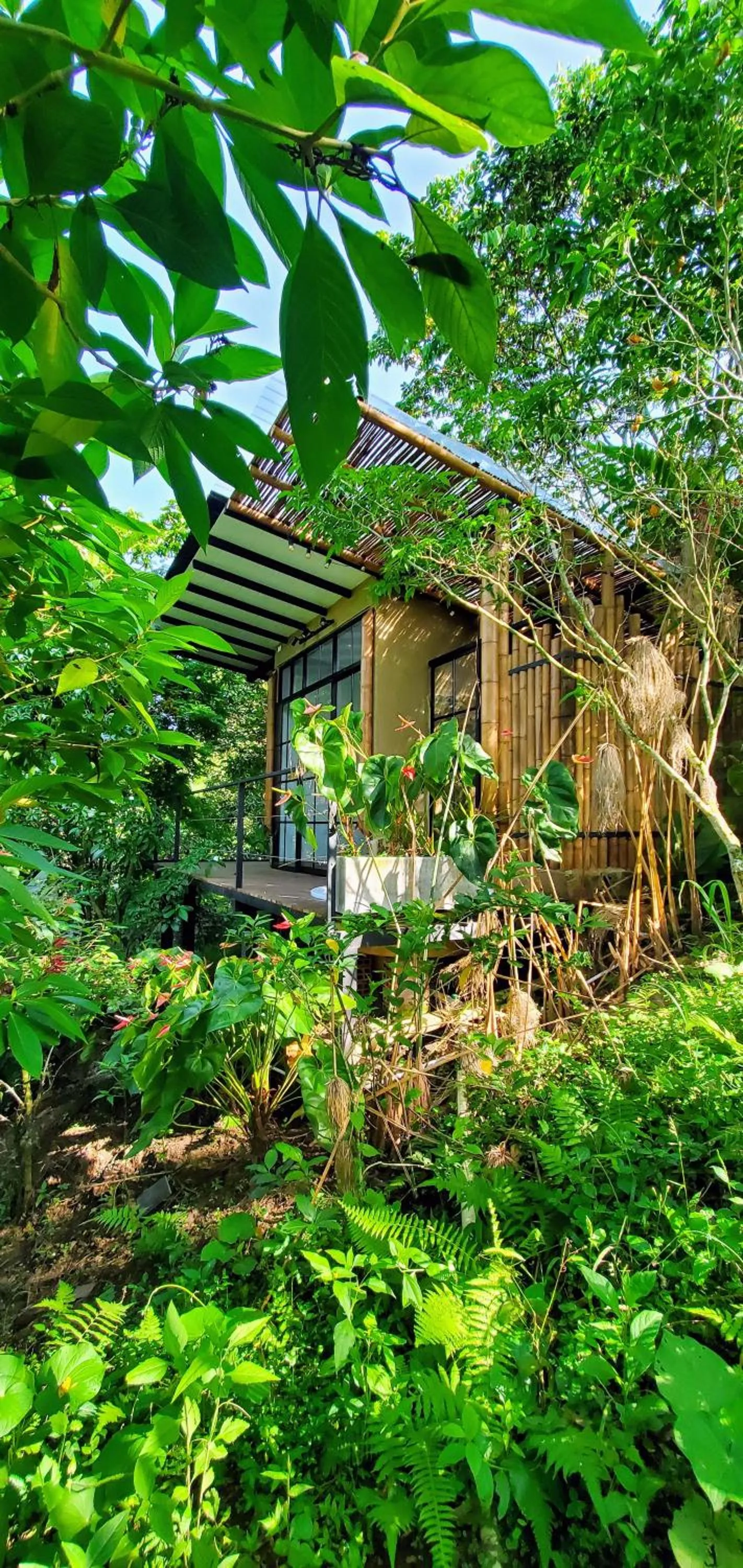 Garden view in Ecohotel Alma