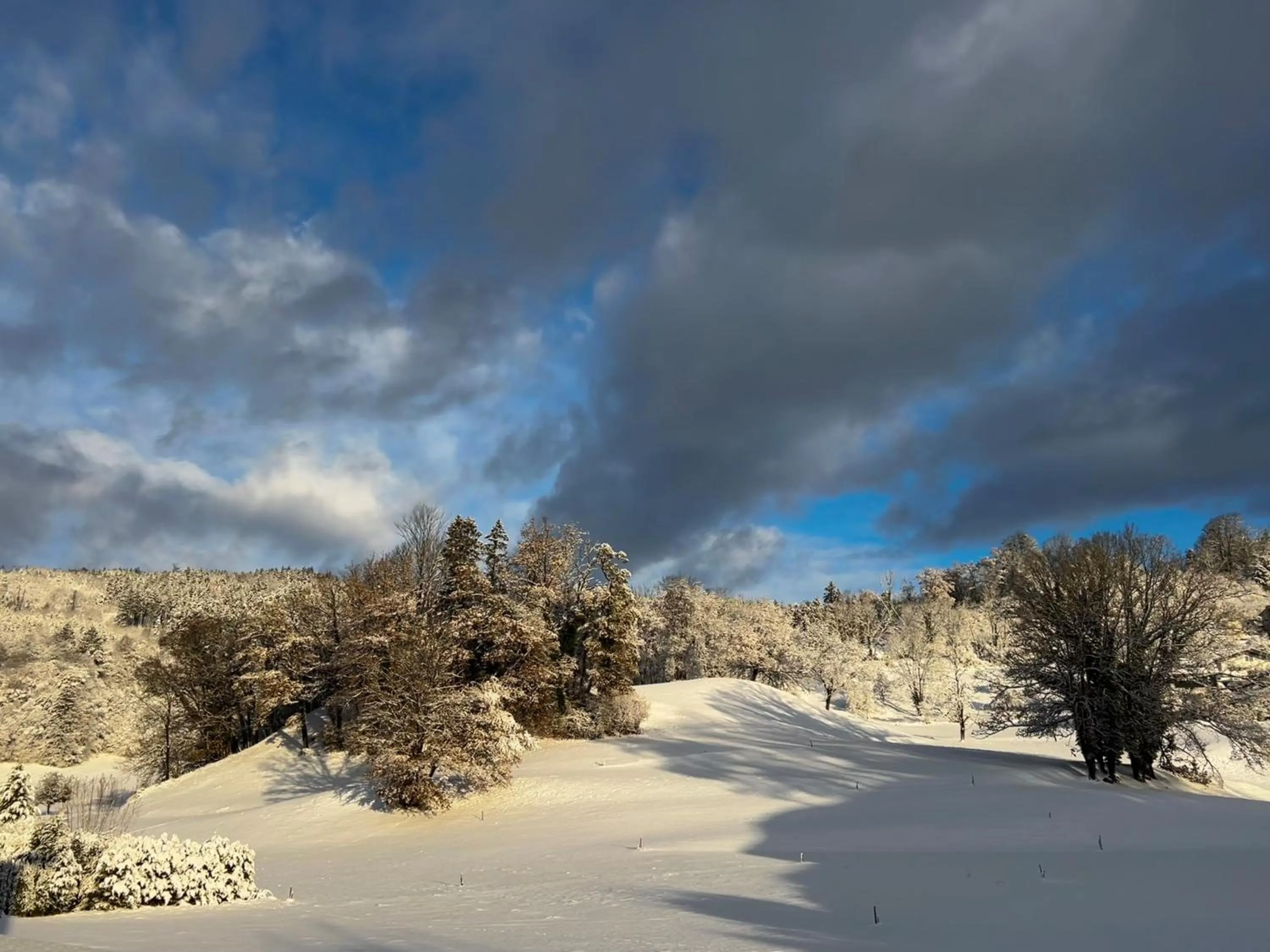 Area and facilities in TILL Naturhotel - Self-Check-In