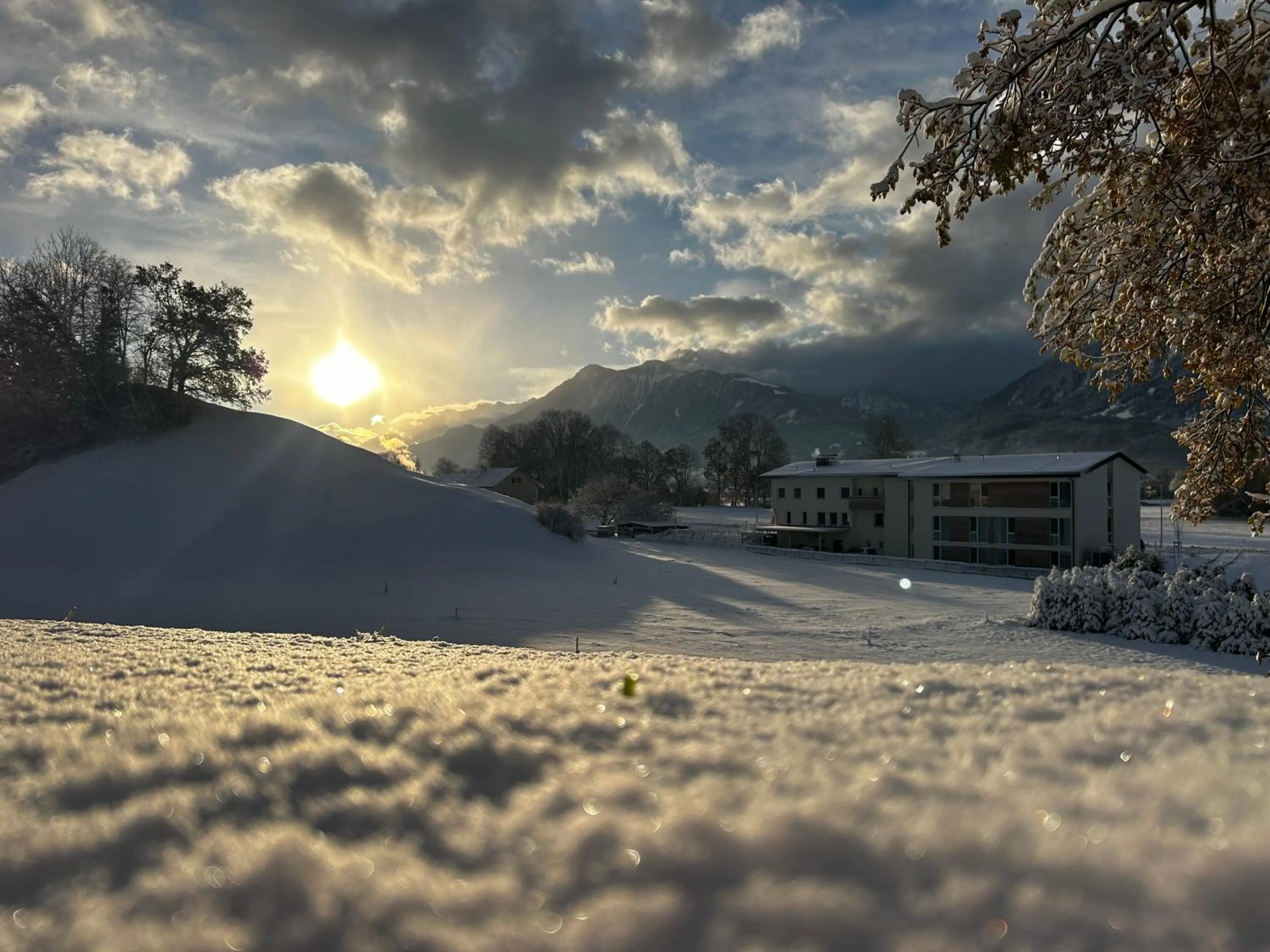 Natural landscape in TILL Naturhotel - Self-Check-In