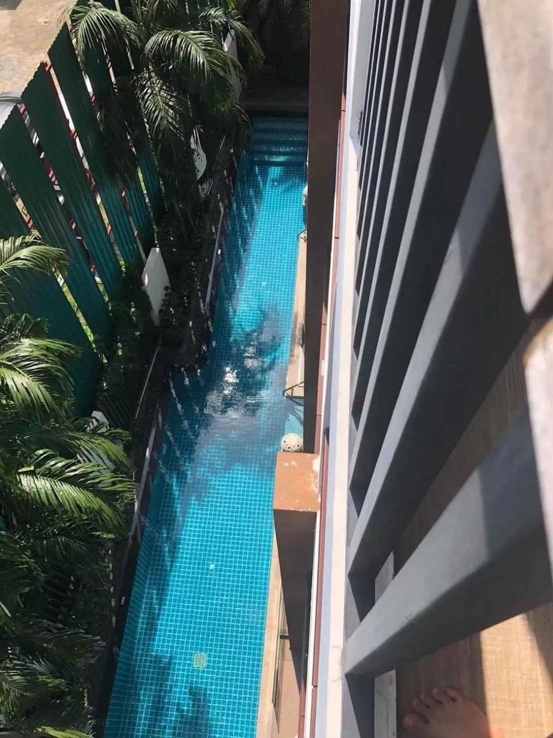 The Beach by Glitter House