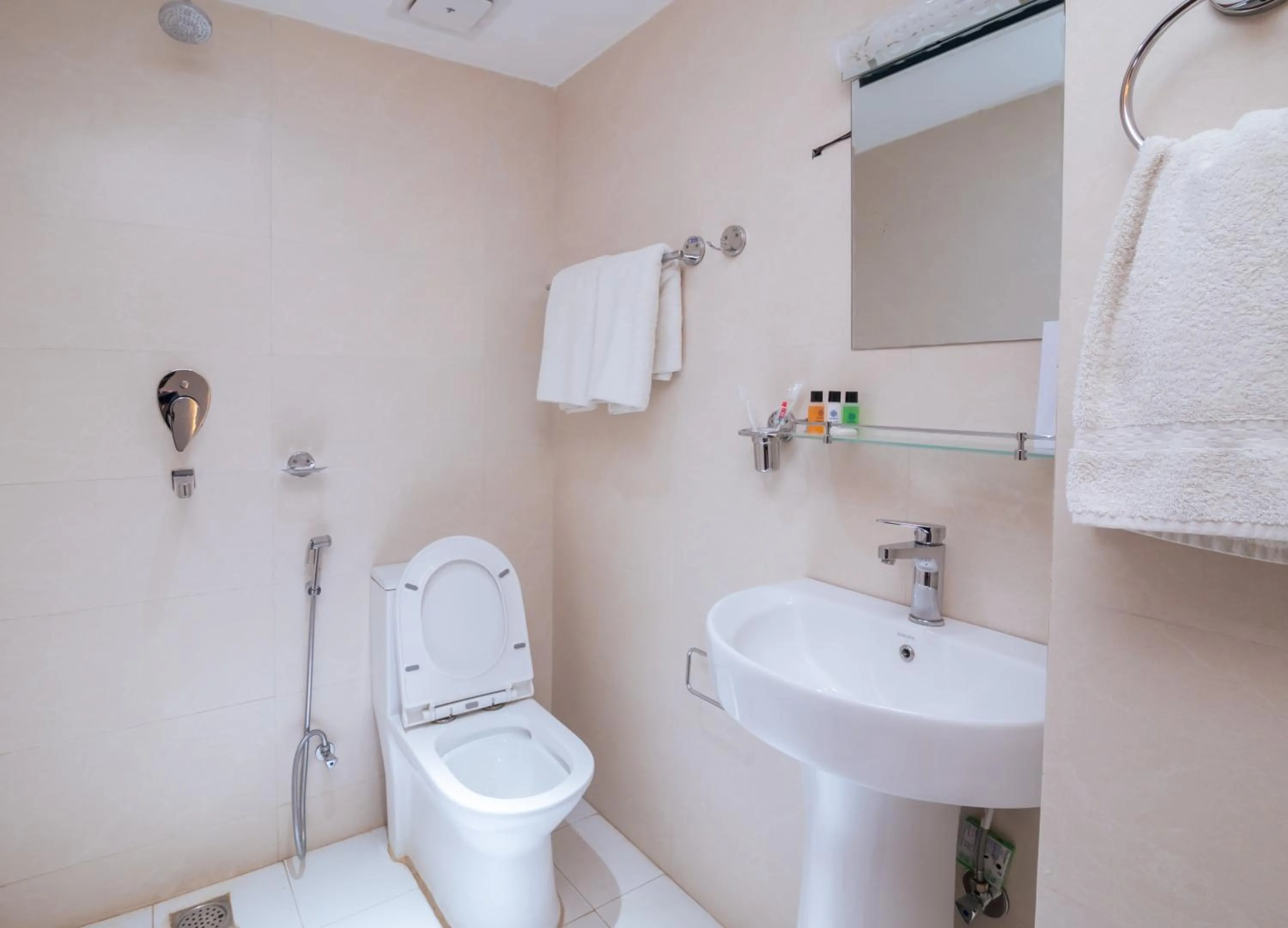 Bathroom in Hotel Ama-La, Thamel, Kathmandu