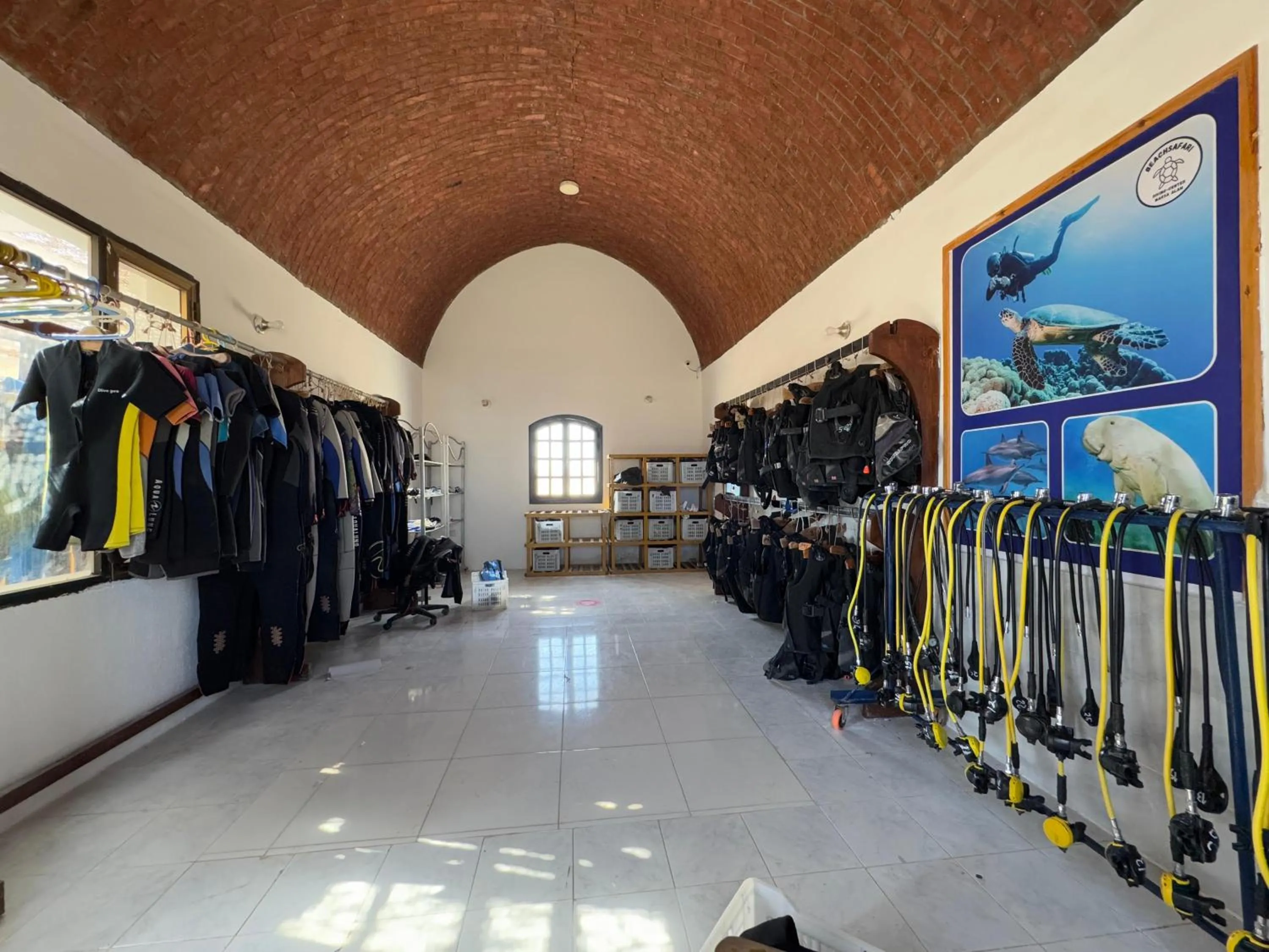 Diving in Beach safari nubian resort