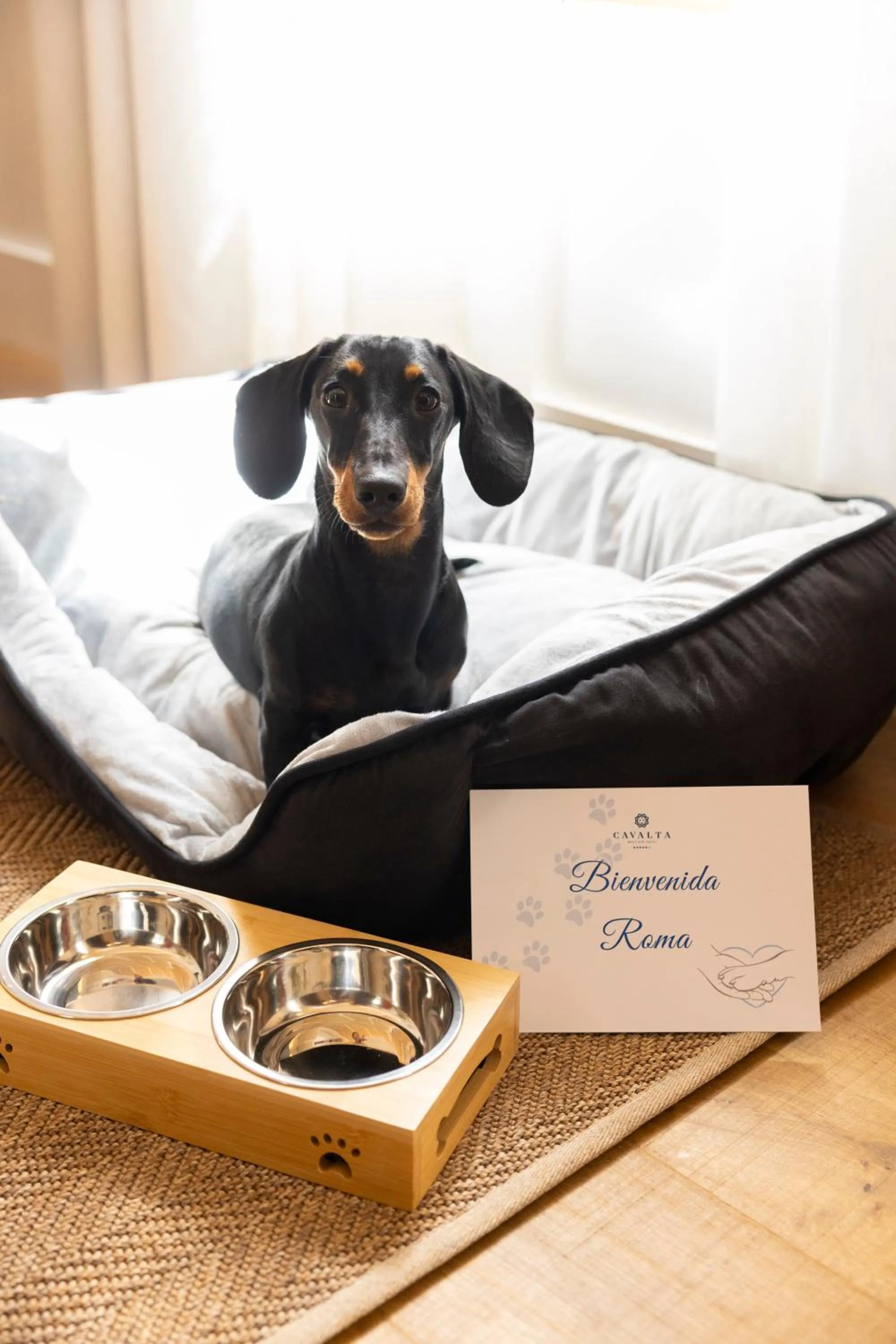 Pets in Cavalta Boutique Hotel - Small Luxury Hotels