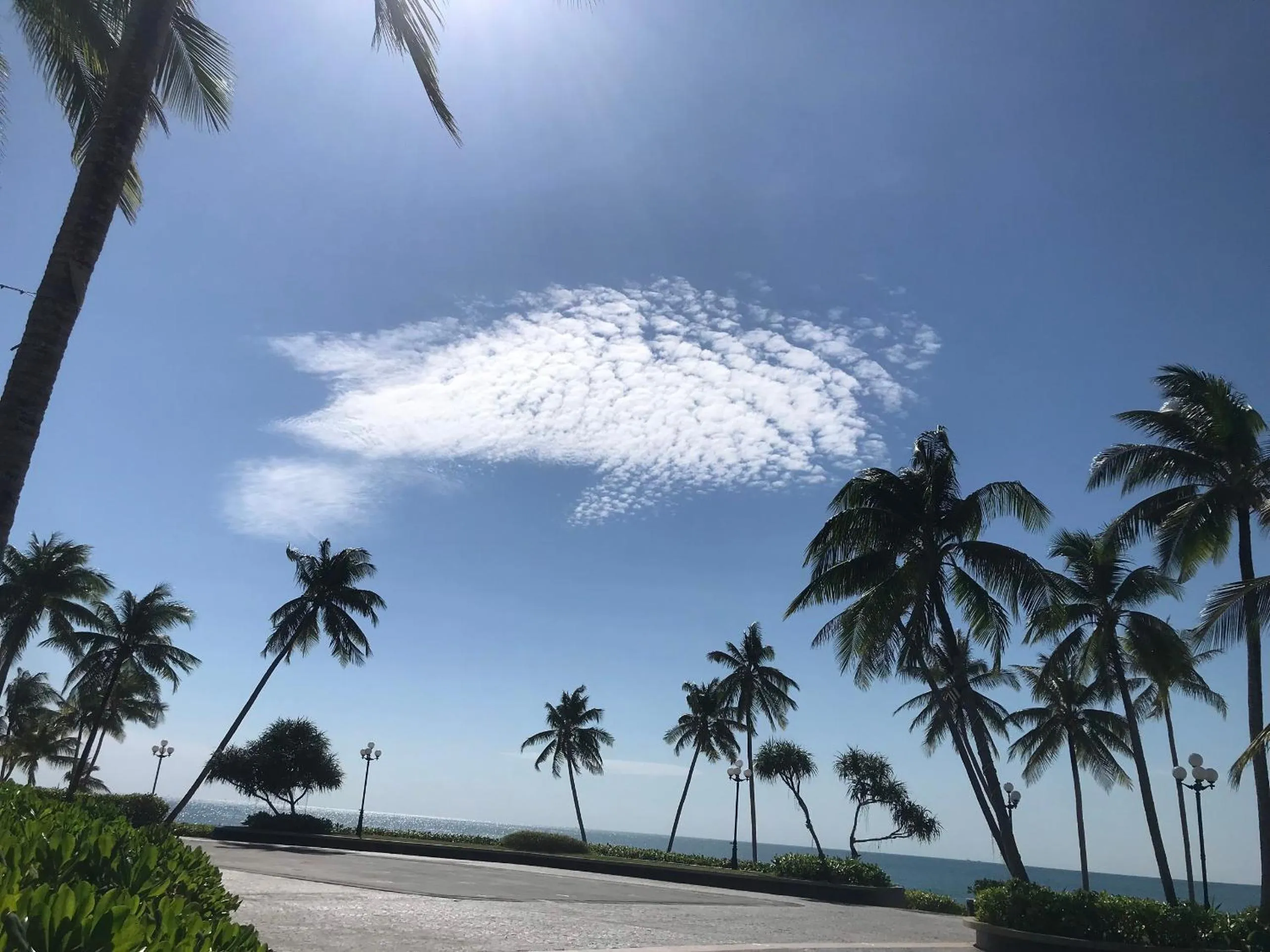 Neighbourhood in Kalia Hotel