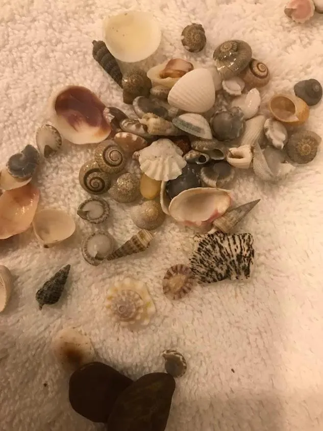 Activities in Kalia Hotel