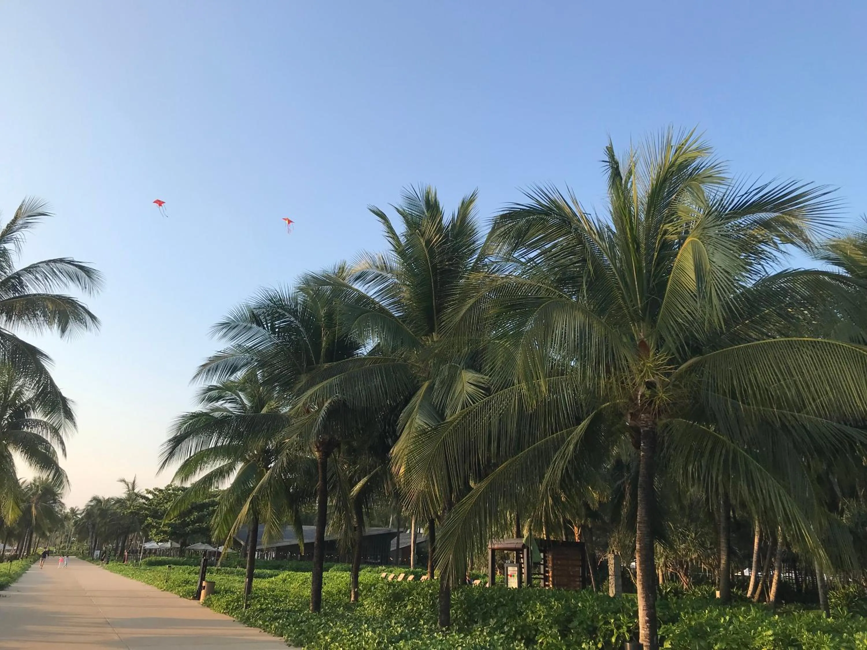 Neighbourhood in Kalia Hotel