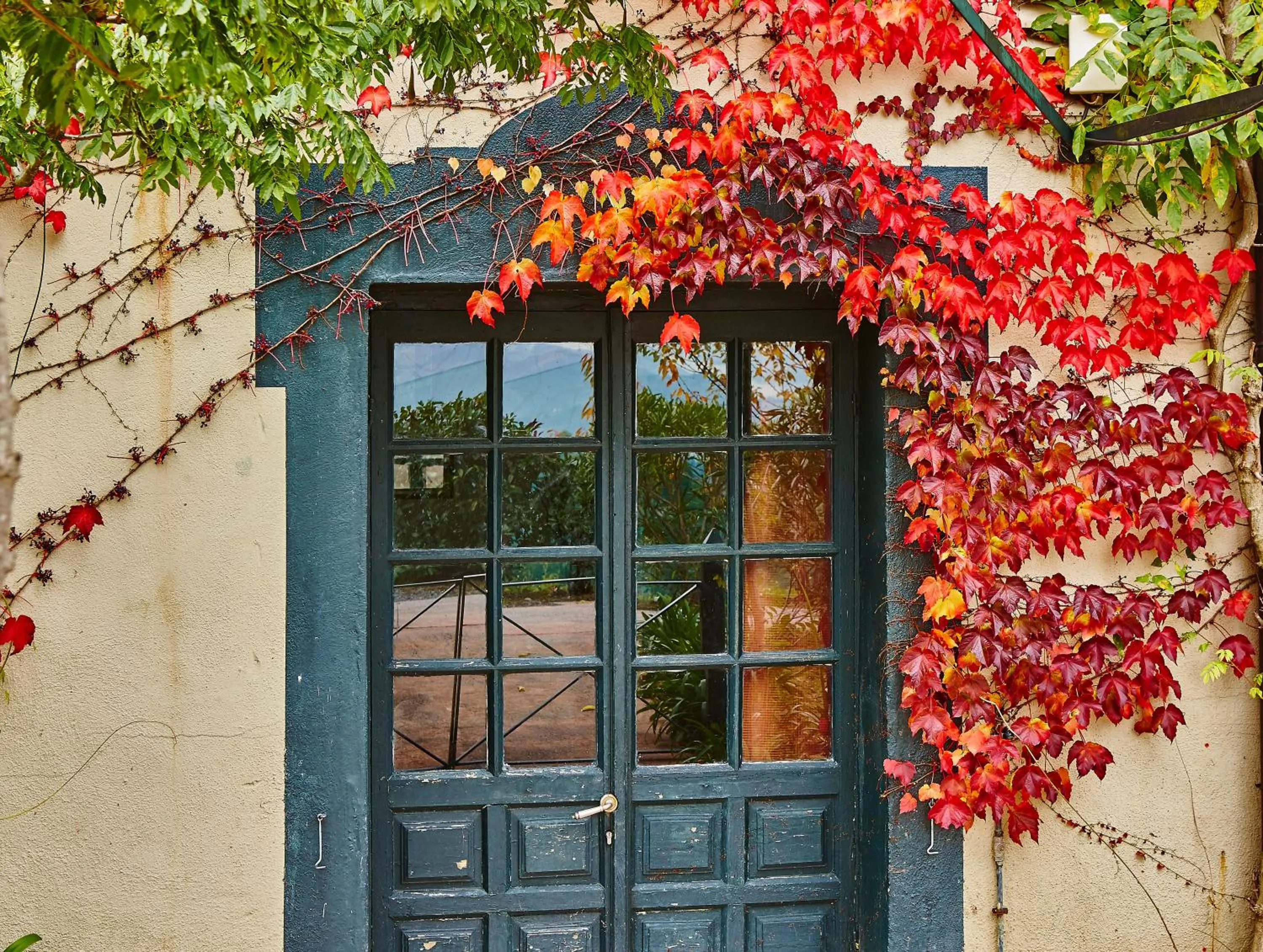 Decorative detail in Hotel Palacio Urgoiti